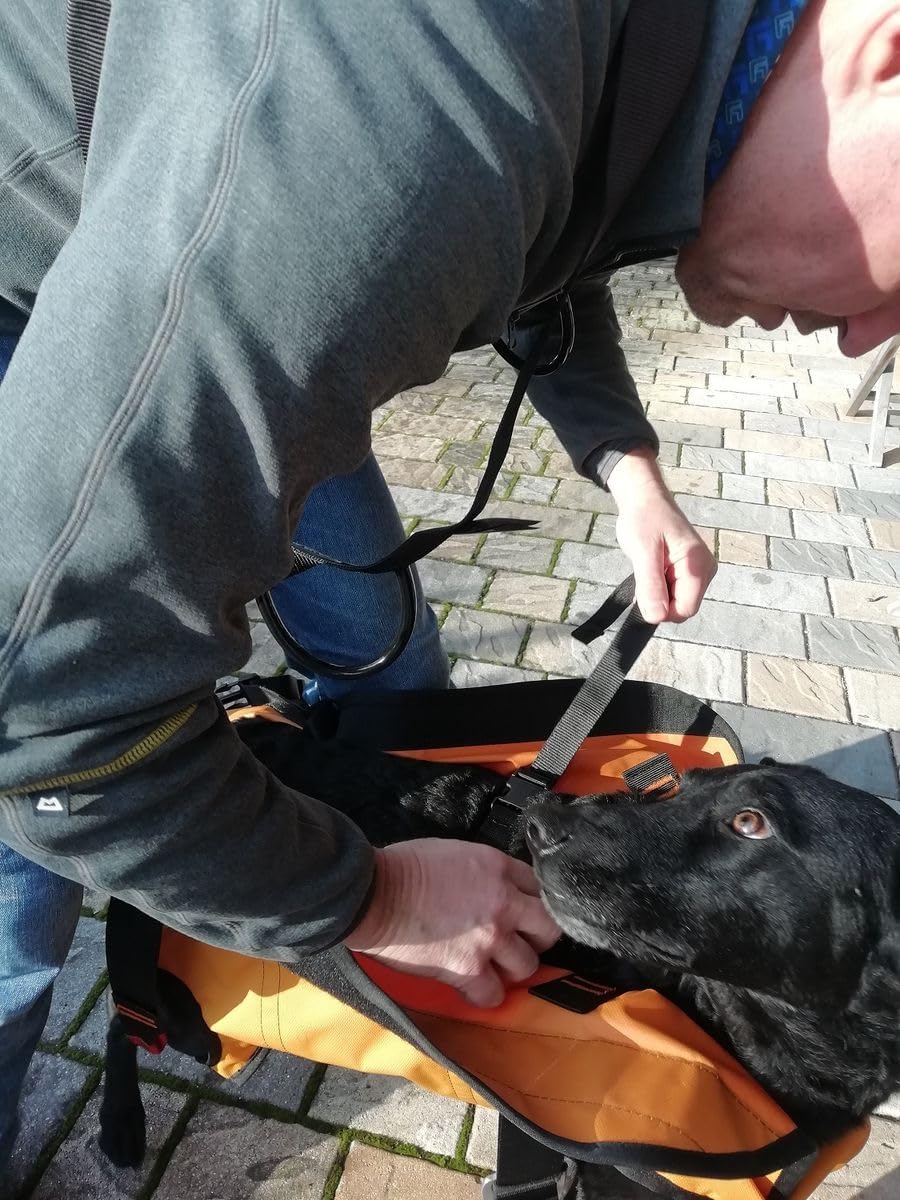 Rettungshundegeschirr Laika