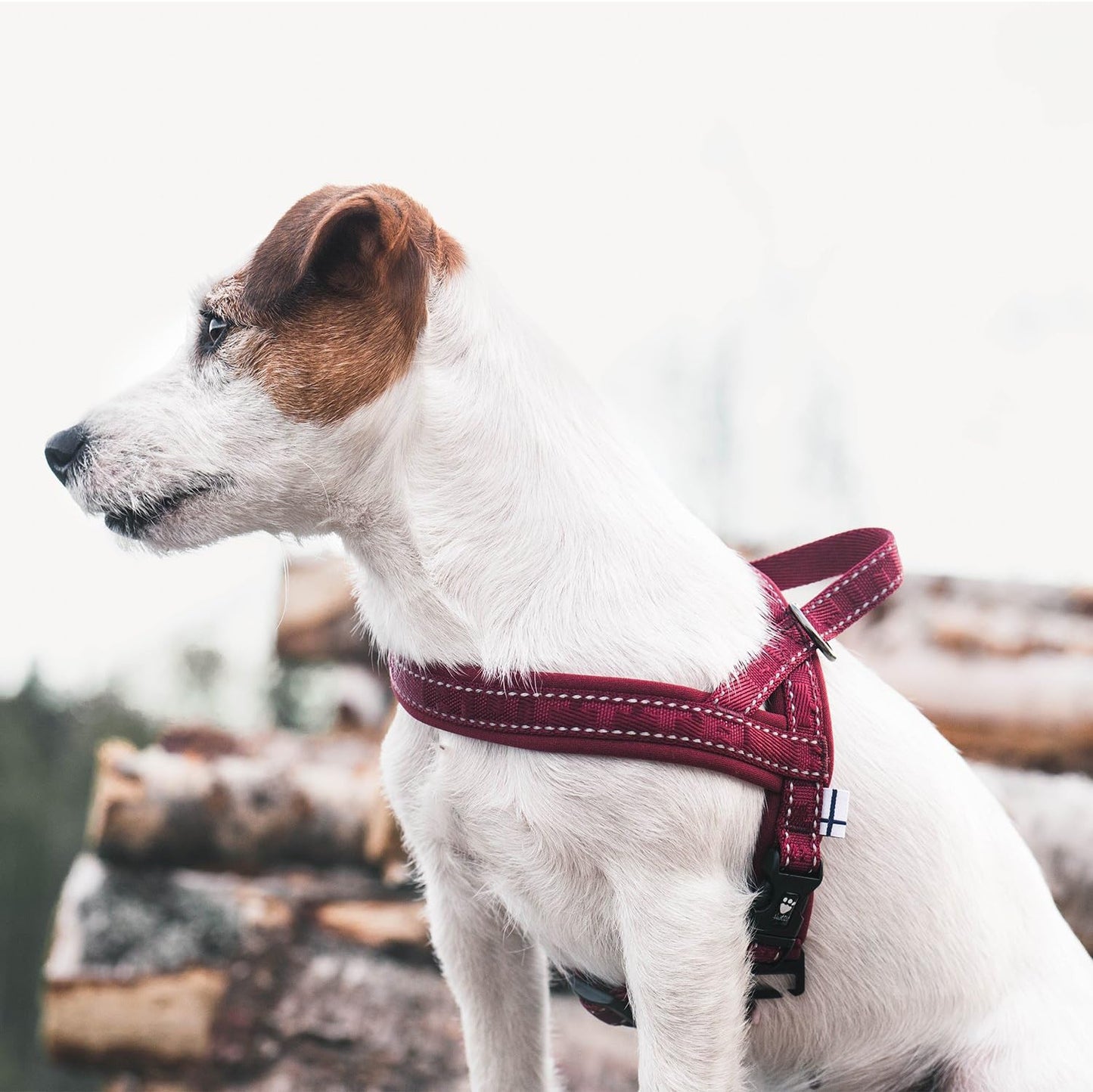 Gepolstertes Hundegeschirr, Fluss 32-35"