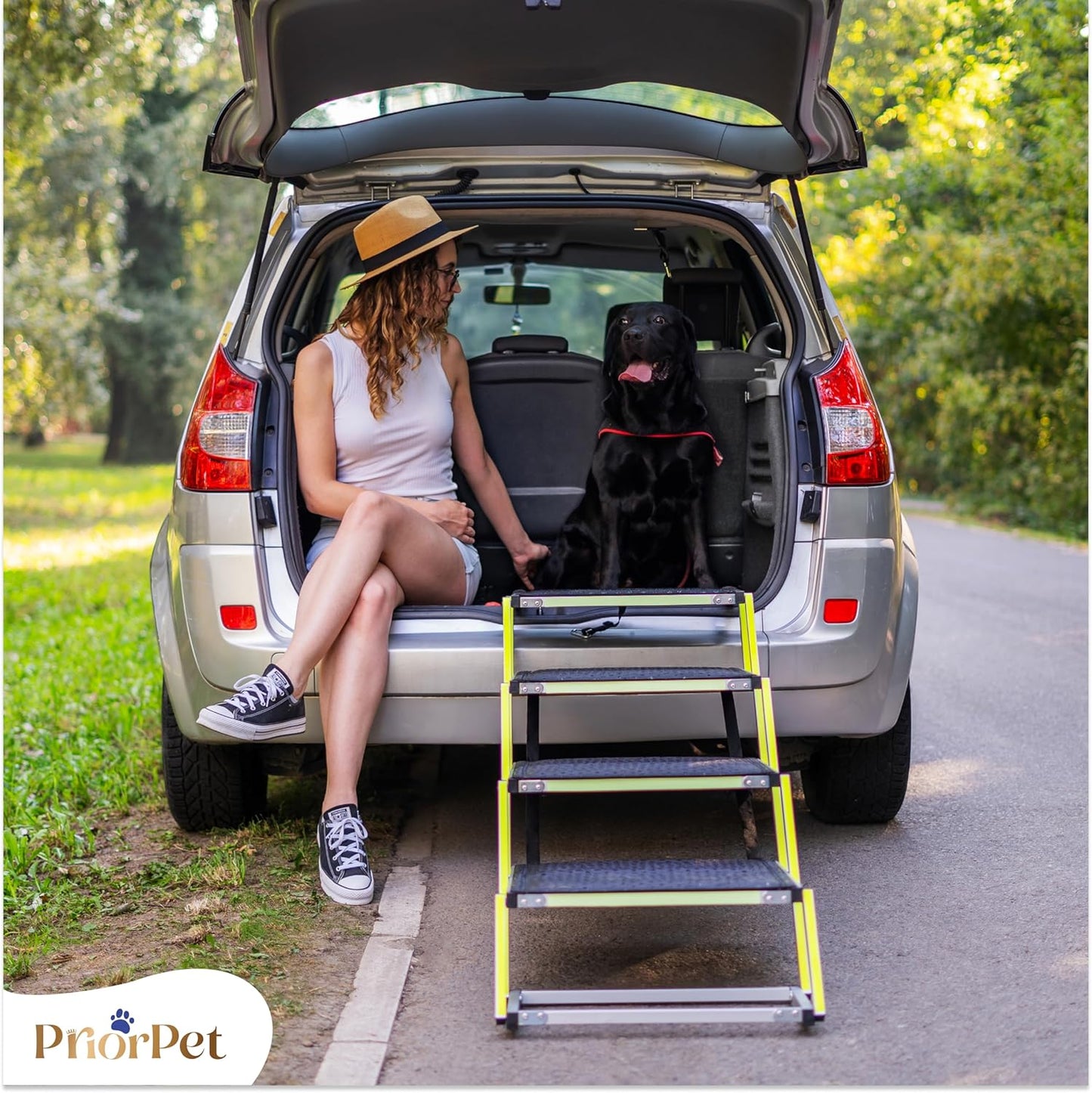 Klappbare Hundetreppe, 4 Wide