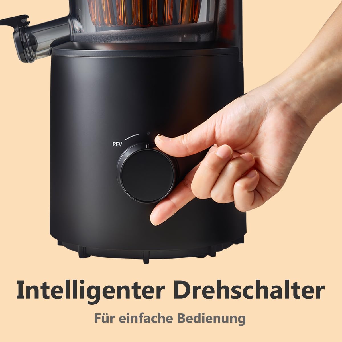 H201 Slow Juicer, Titan