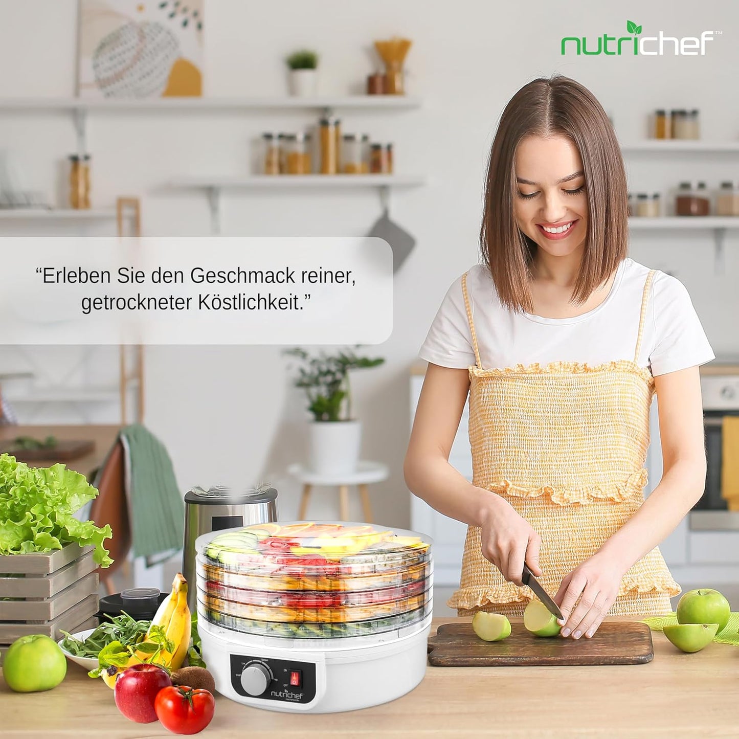 Dörrautomat mit 5 Einschüben, Milchweiss