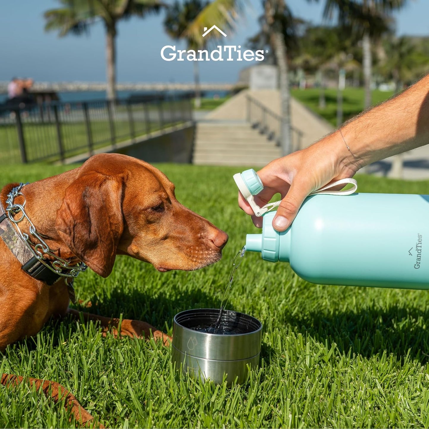 Isolierte Hundewasserflasche mit 2 abnehmbaren Hundenäpfen, Powder Green Large 64oz/1890mL