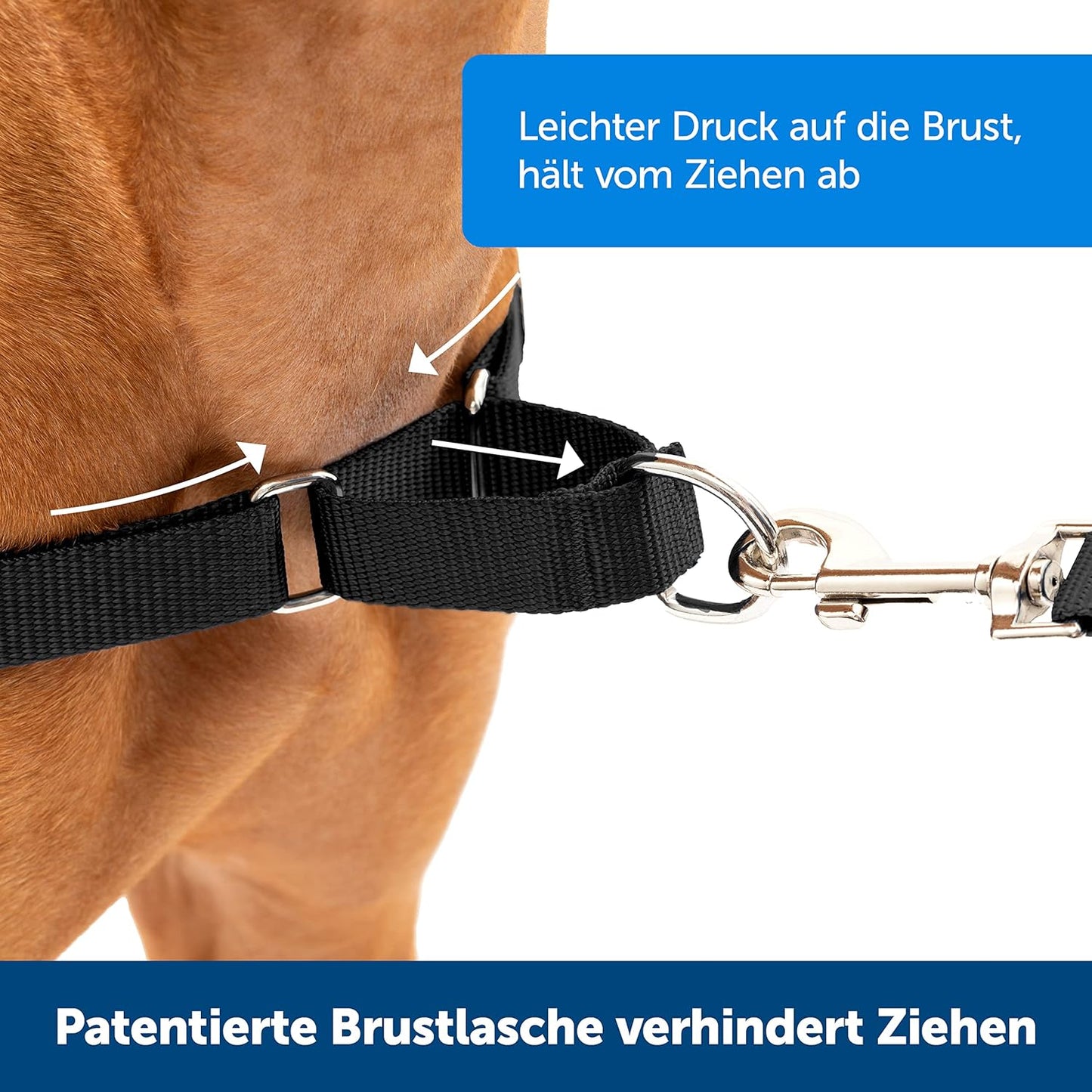 Easy Walk Anti-Zieh-Hundegeschirr mit 1,8 m Leine, L Rosa