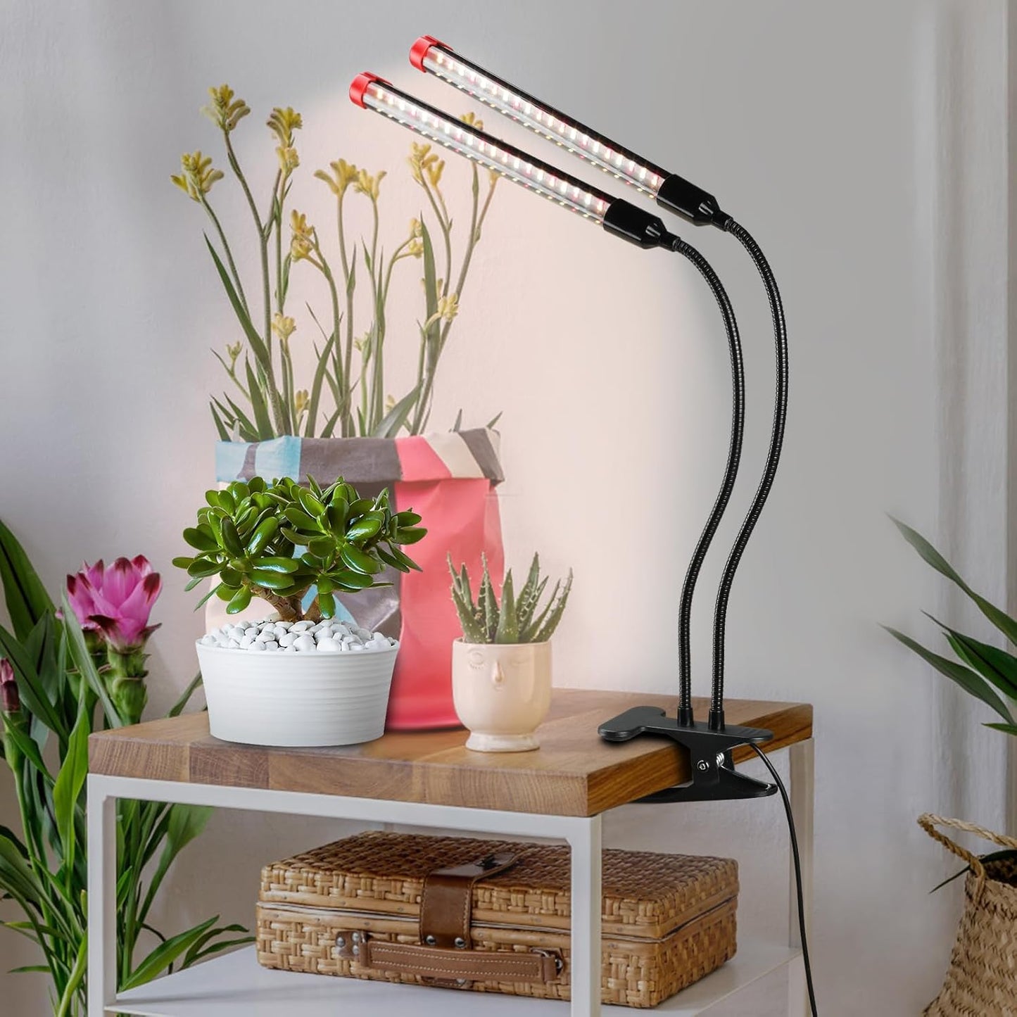 Clip-Pflanzenlampe mit Timer, Clip-18W-2000Lm
