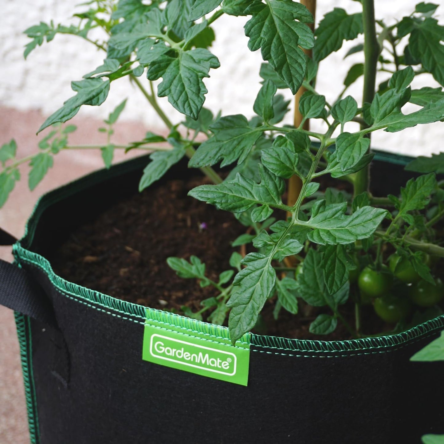 6er-Set Pflanzsack, 30L, 30 Liter - 6er Set Greenline
