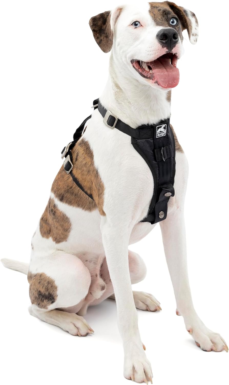 Hundegeschirr K01257, Schwarz, M