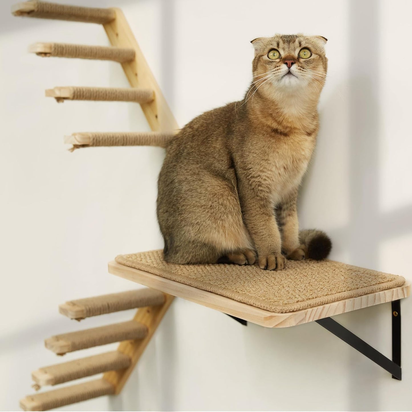 Katzen-Wandregal mit Kratzmatte, 1PC Katze Wandregal