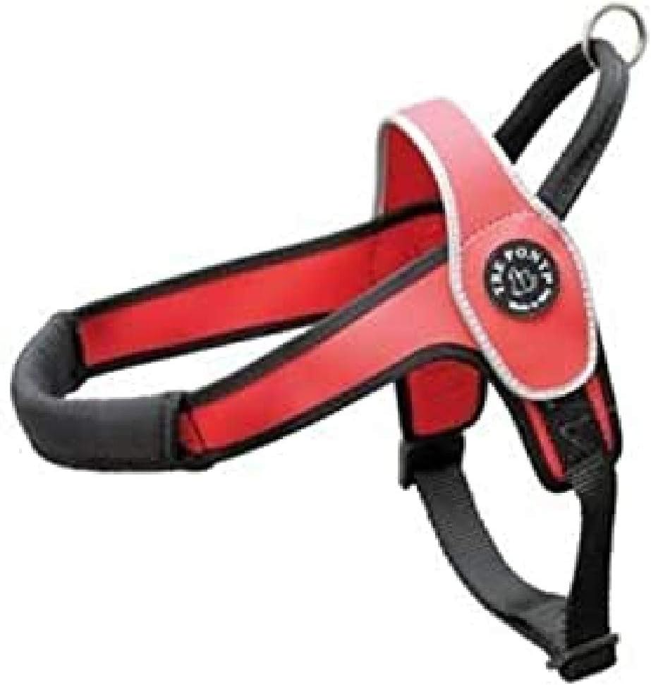 Primo Classic, XL / rot
