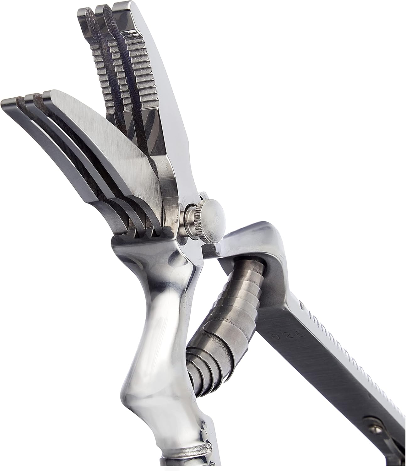Nahrungszerkleinerer Masticateur