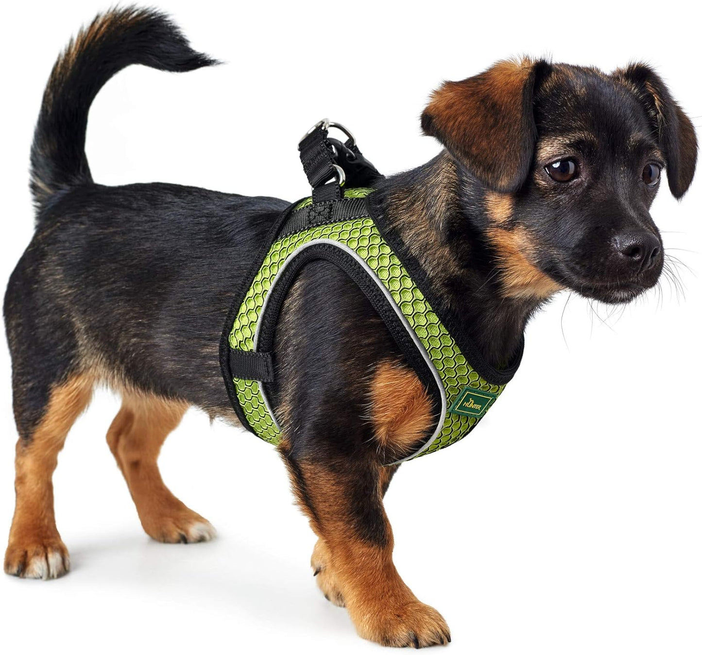 Hundegeschirr Hilo Comfort Step-In, limette XS-S
