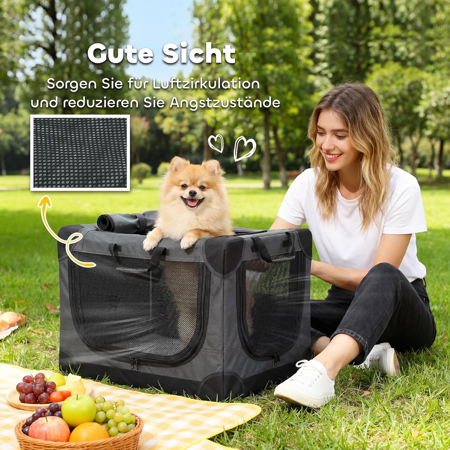 Faltbare Hundetransportbox mit Kissen, L 60 x B 42 x H 43 cm