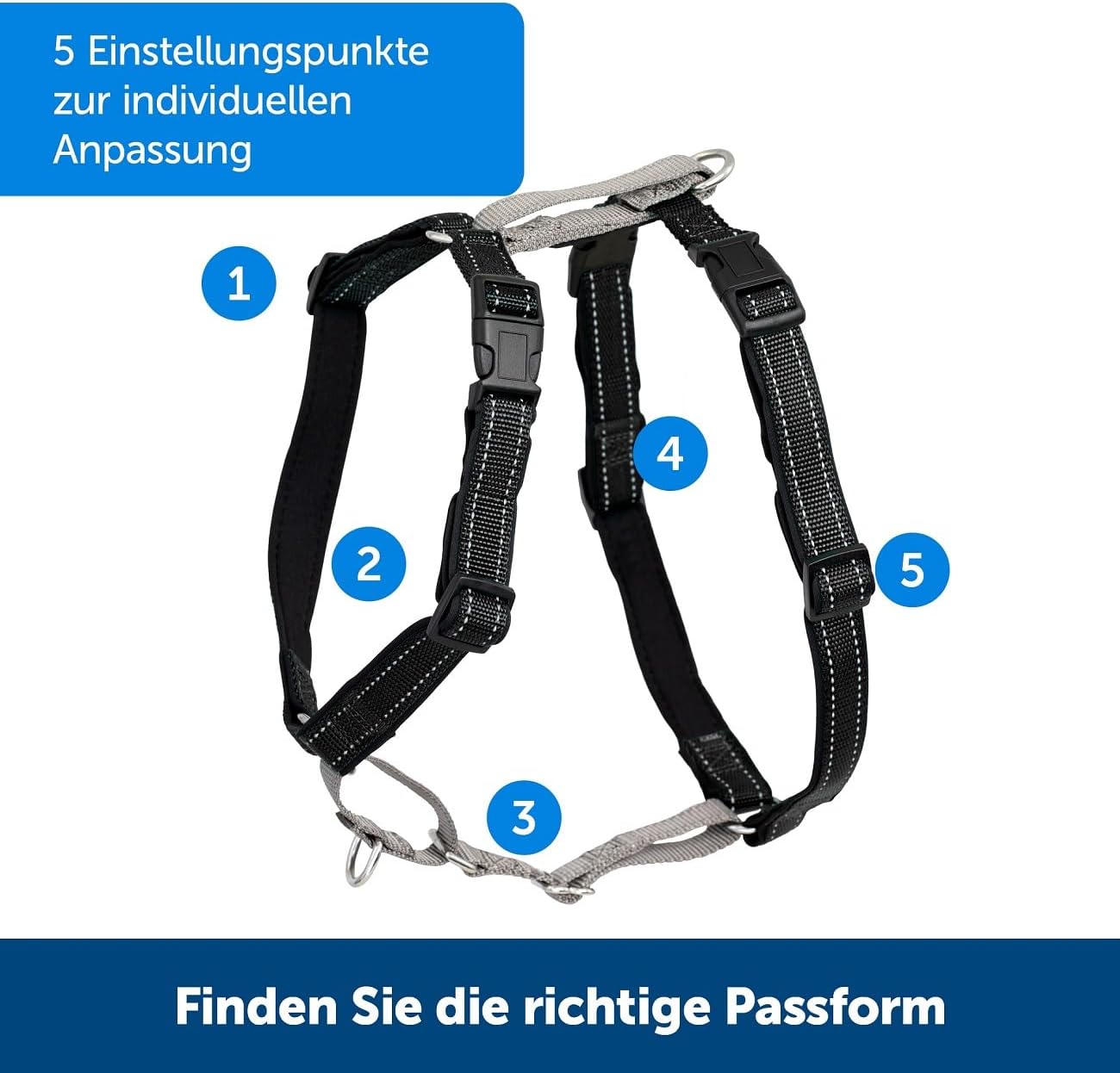 3-in-1-Geschirr und Rückhaltegurt, L