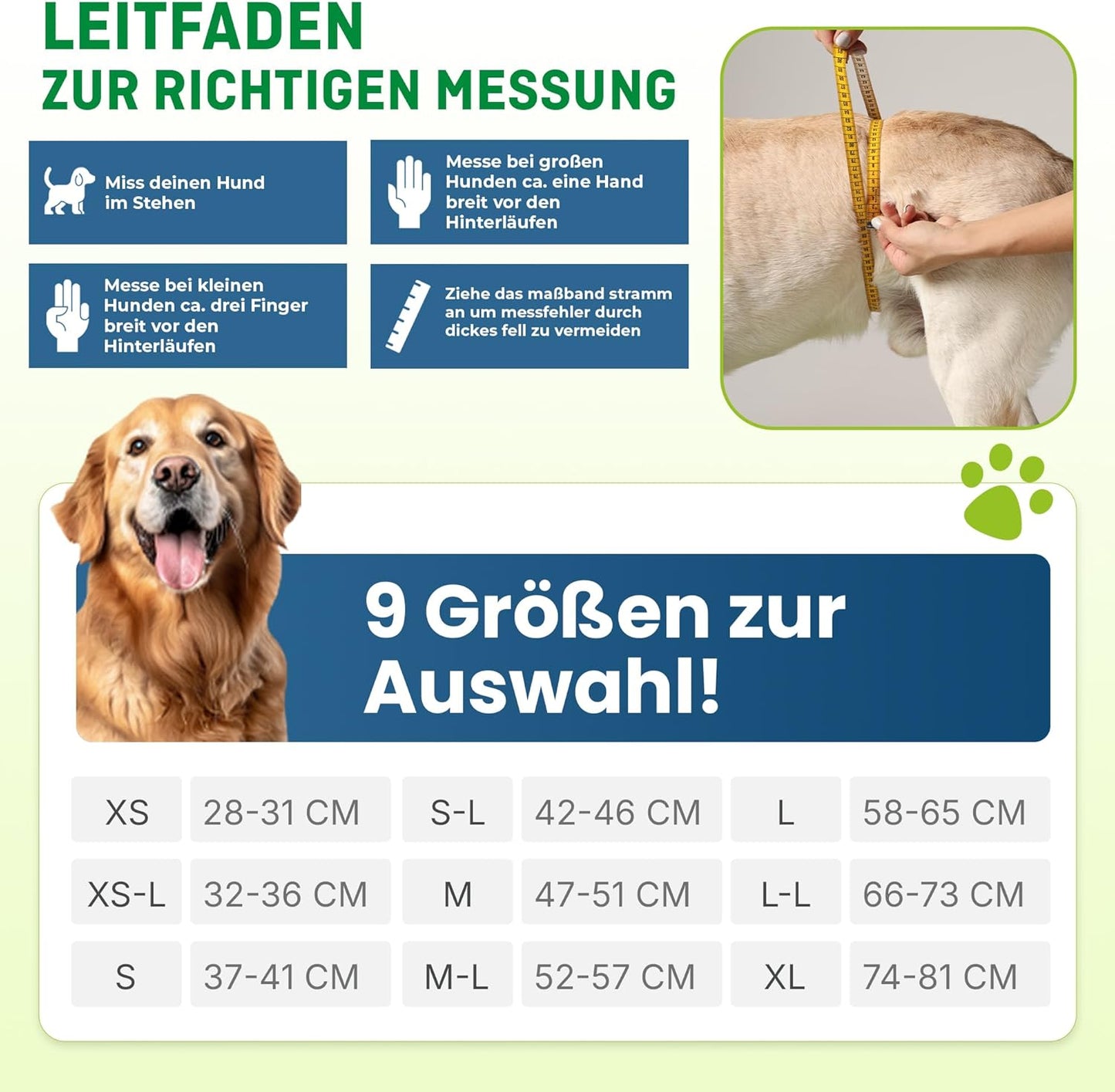 Läufigkeitshose für Hündinnen, Rot / S-L