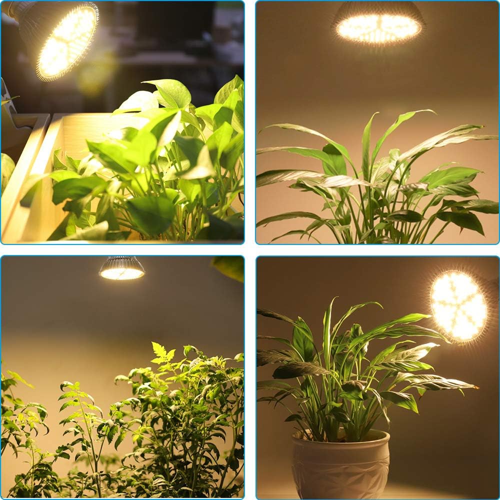 LED Grow Light, 100w Sunlike