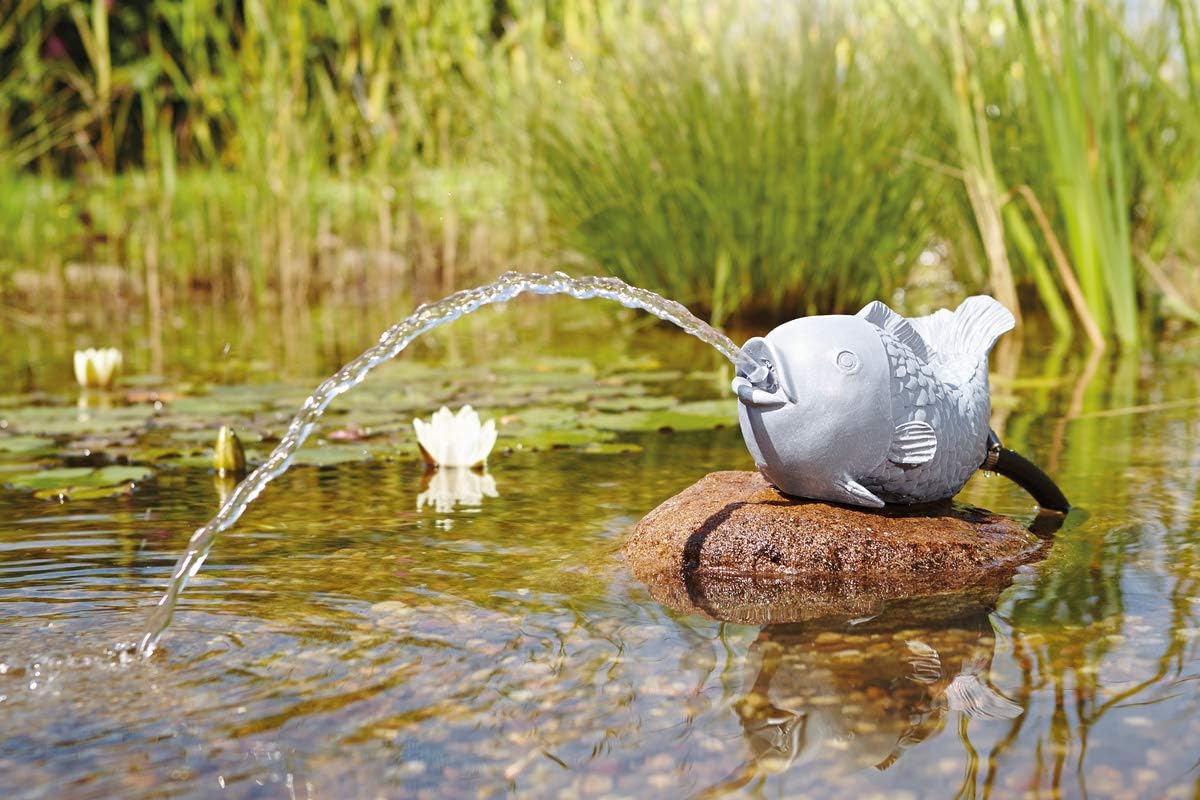 Wasserspeier Fisch, Grau