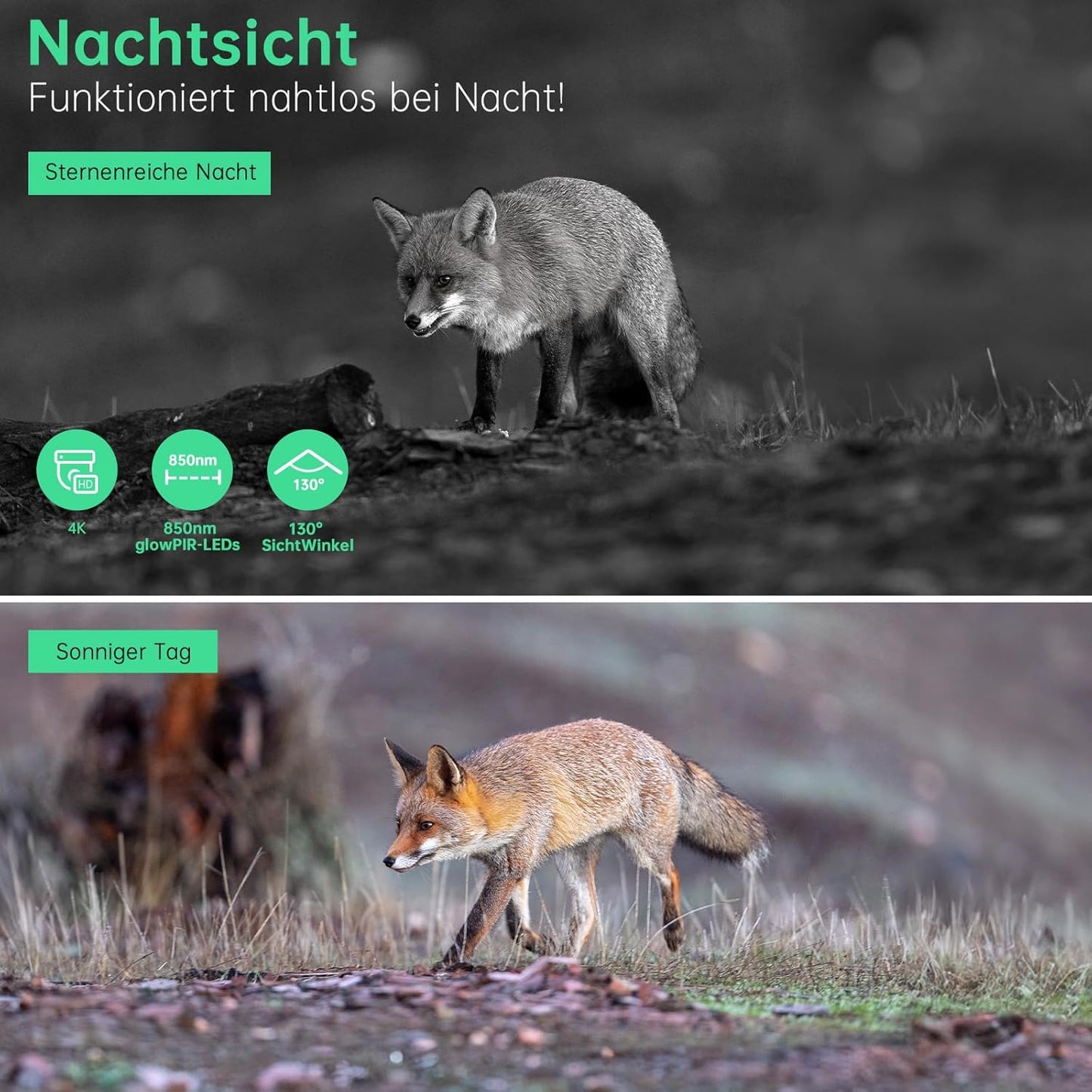 4K Wildkamera mit Bewegungsmelder und Nachtsicht