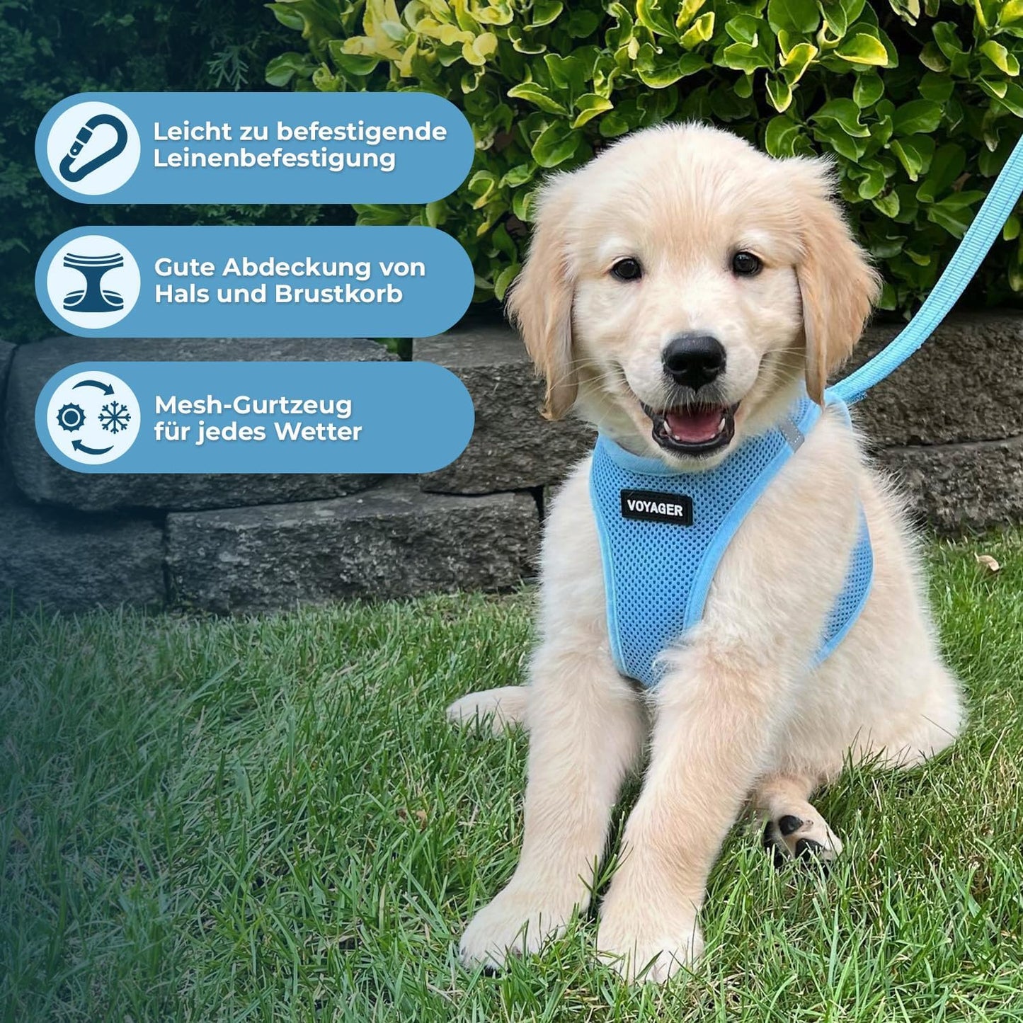 Voyager Hundegeschirr, M (Chest: 16 - 18") Babyblau mit passendem Saum