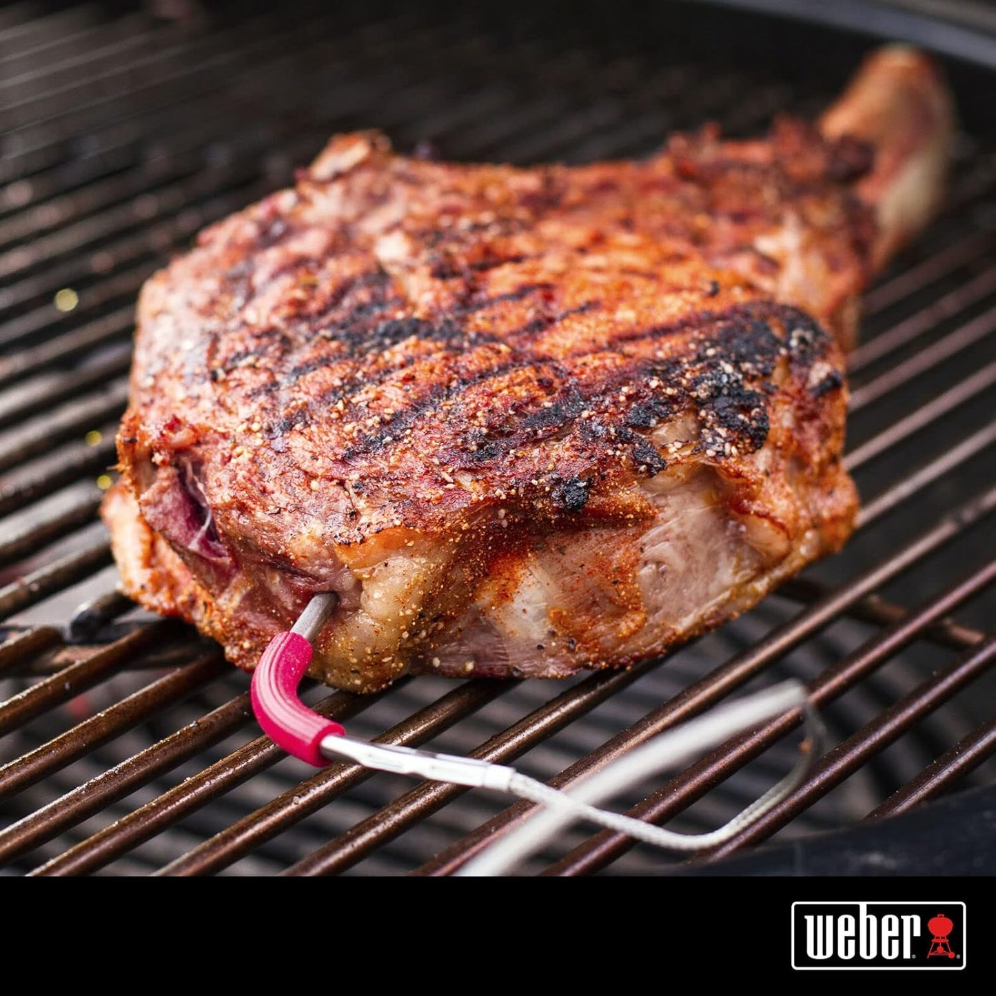 iGrill Pro Messfühler, Schwarz 3.2 x 10.8 x 5.0 cm