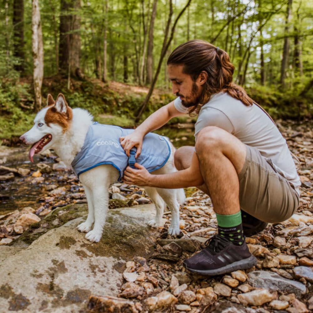 Hundekühlweste mit Geschirrkompatibilität, Medium, Medium
