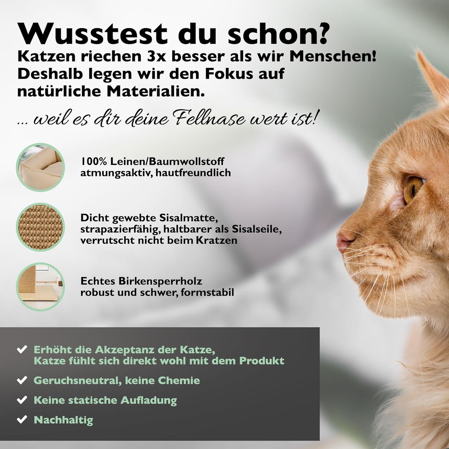 Kratzbaum mit breitem Kratzstamm und Katzenbett, Birke/beige