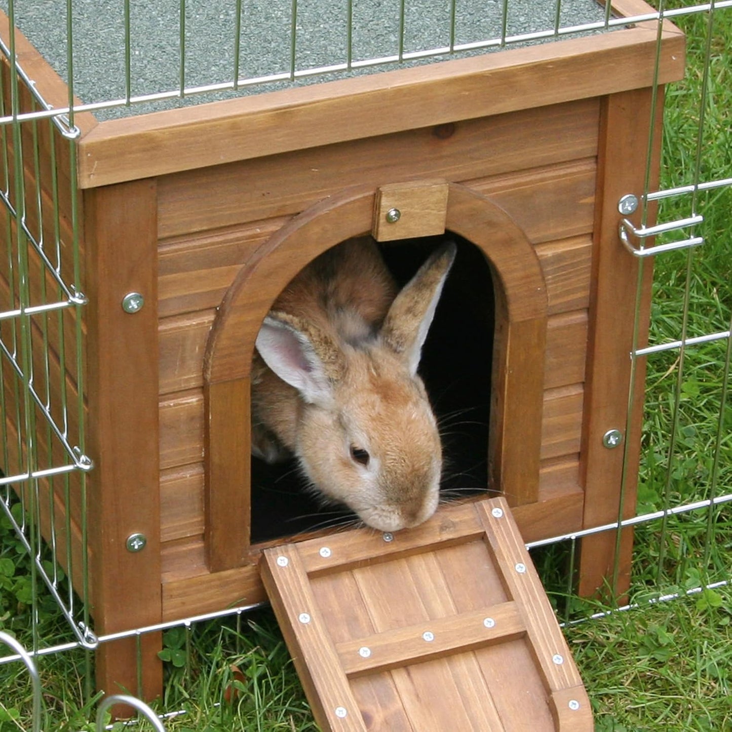Outdoor-Kleintierhaus mit aufklappbarem Bitumdach