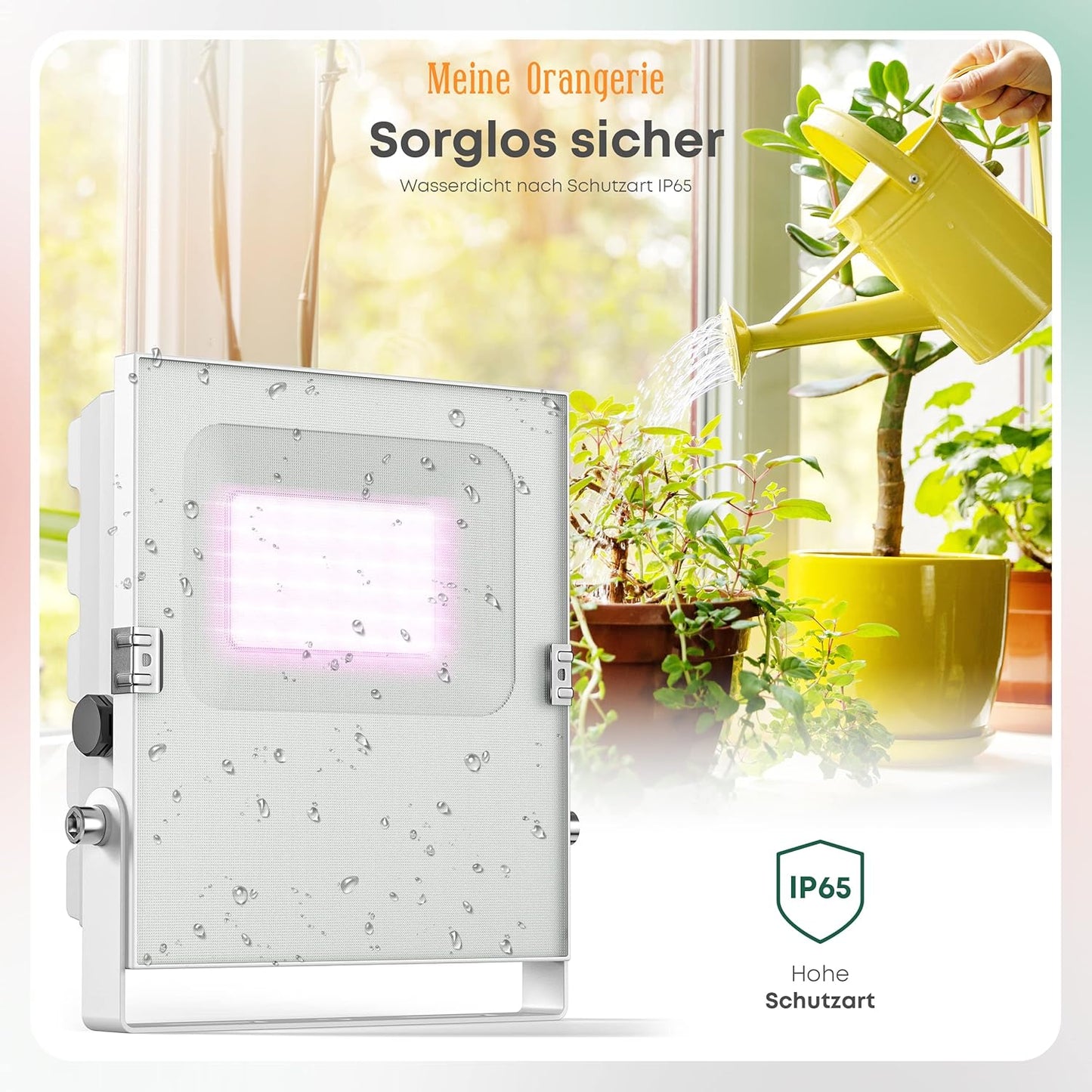 Pflanzenlicht, 50.0 Watt