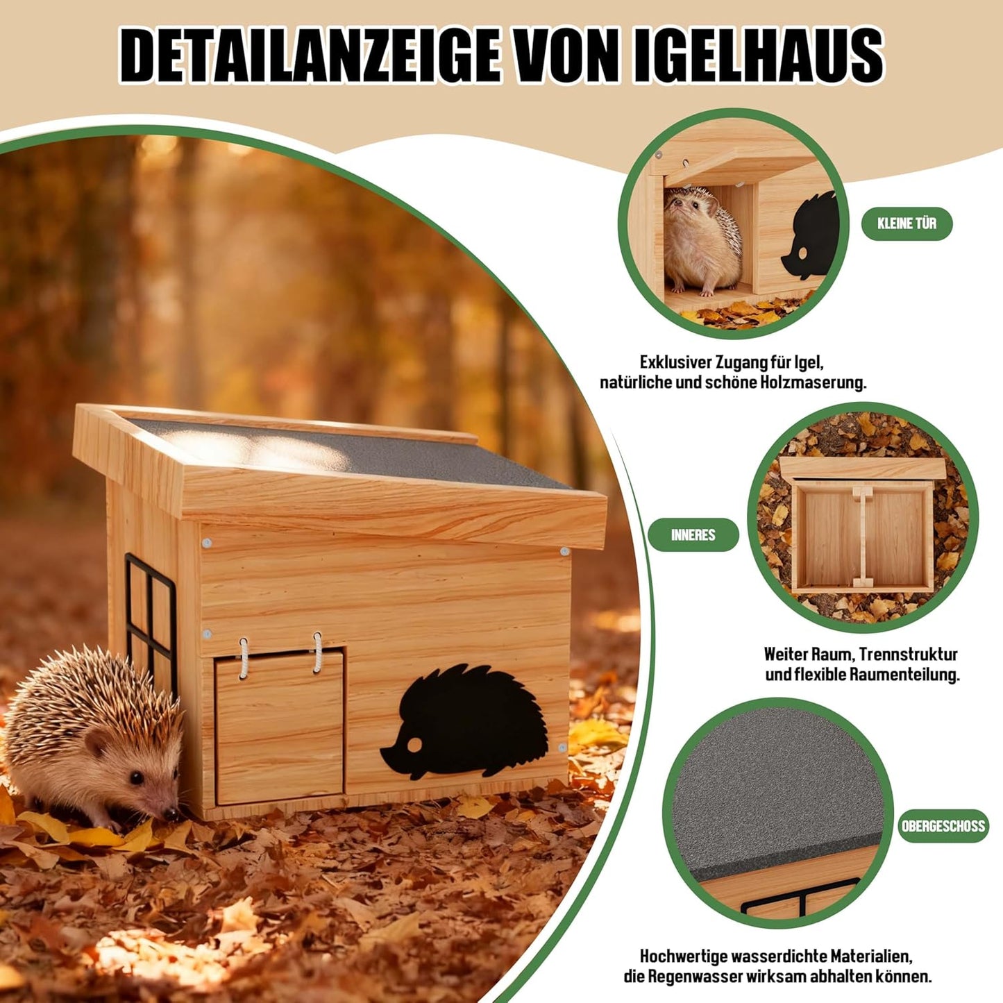 Wetterfestes Igelhaus, Buche
