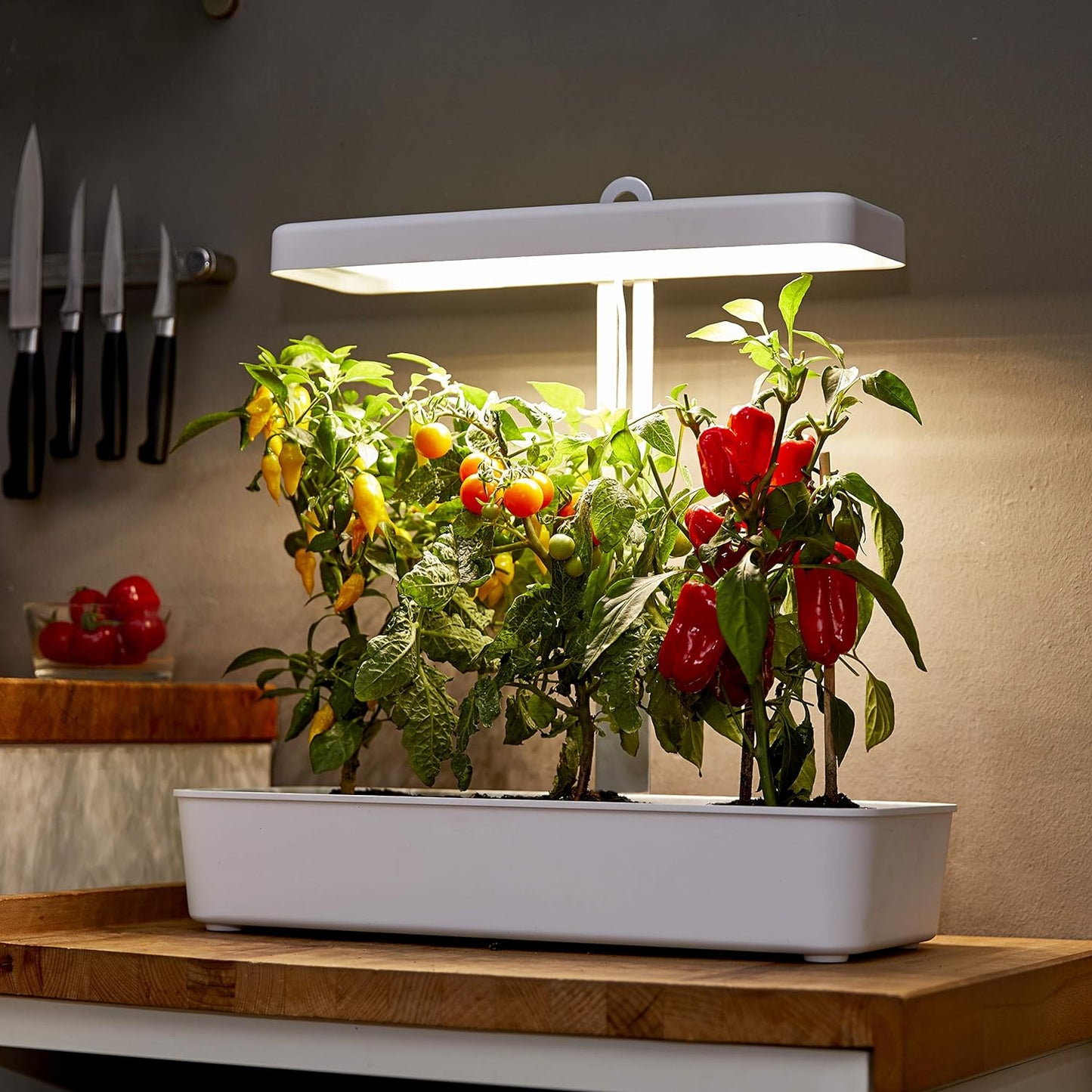 LED Anzuchtsystem ‎NP-PL-2019