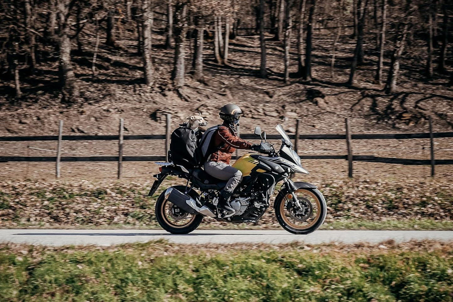 Wasserdichte Motorradtasche für Haustiere, 11-20 kg, L (11-20 kg)