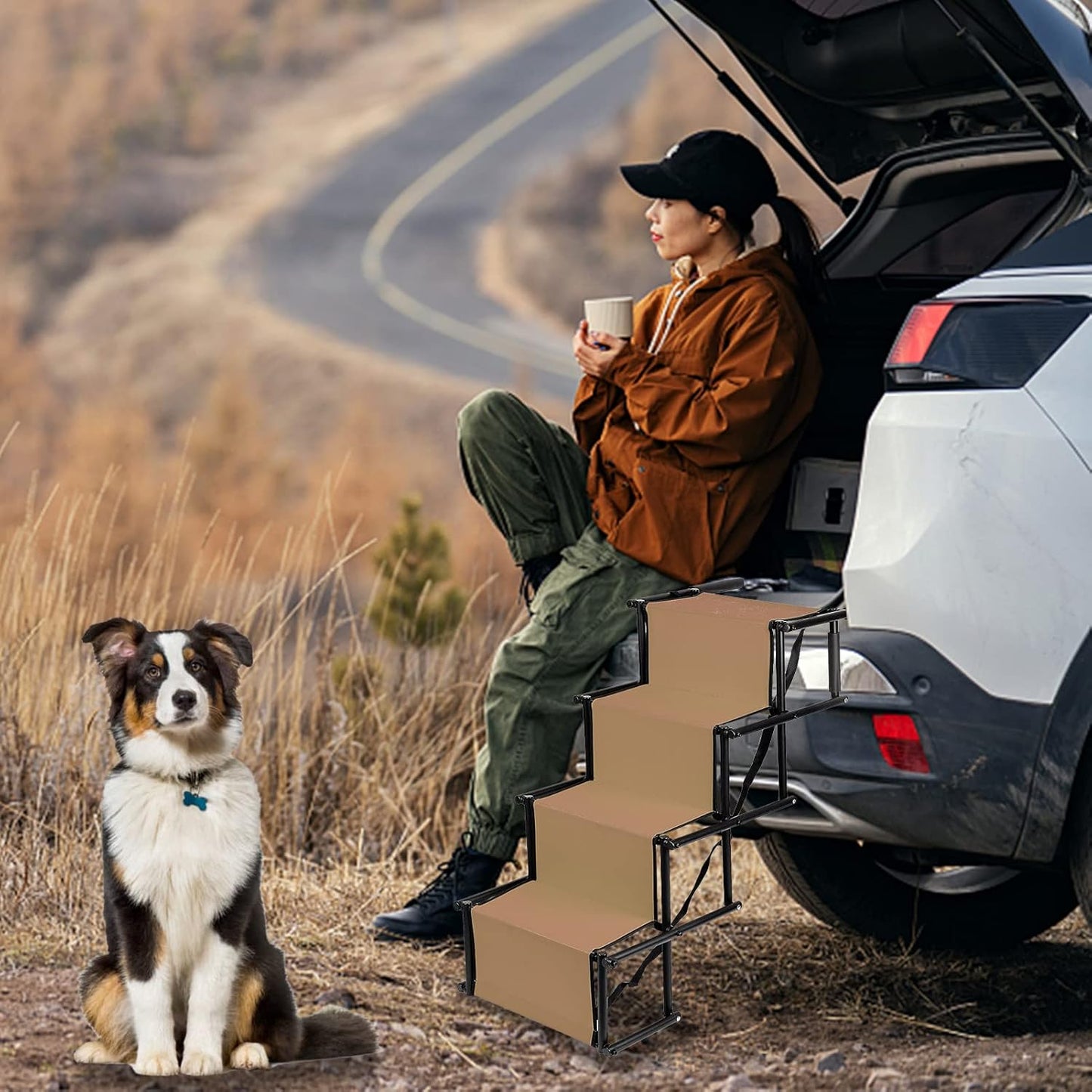 Klappbare Hunderampe für Auto, Sofa & Bett (bis 80 kg), Noir