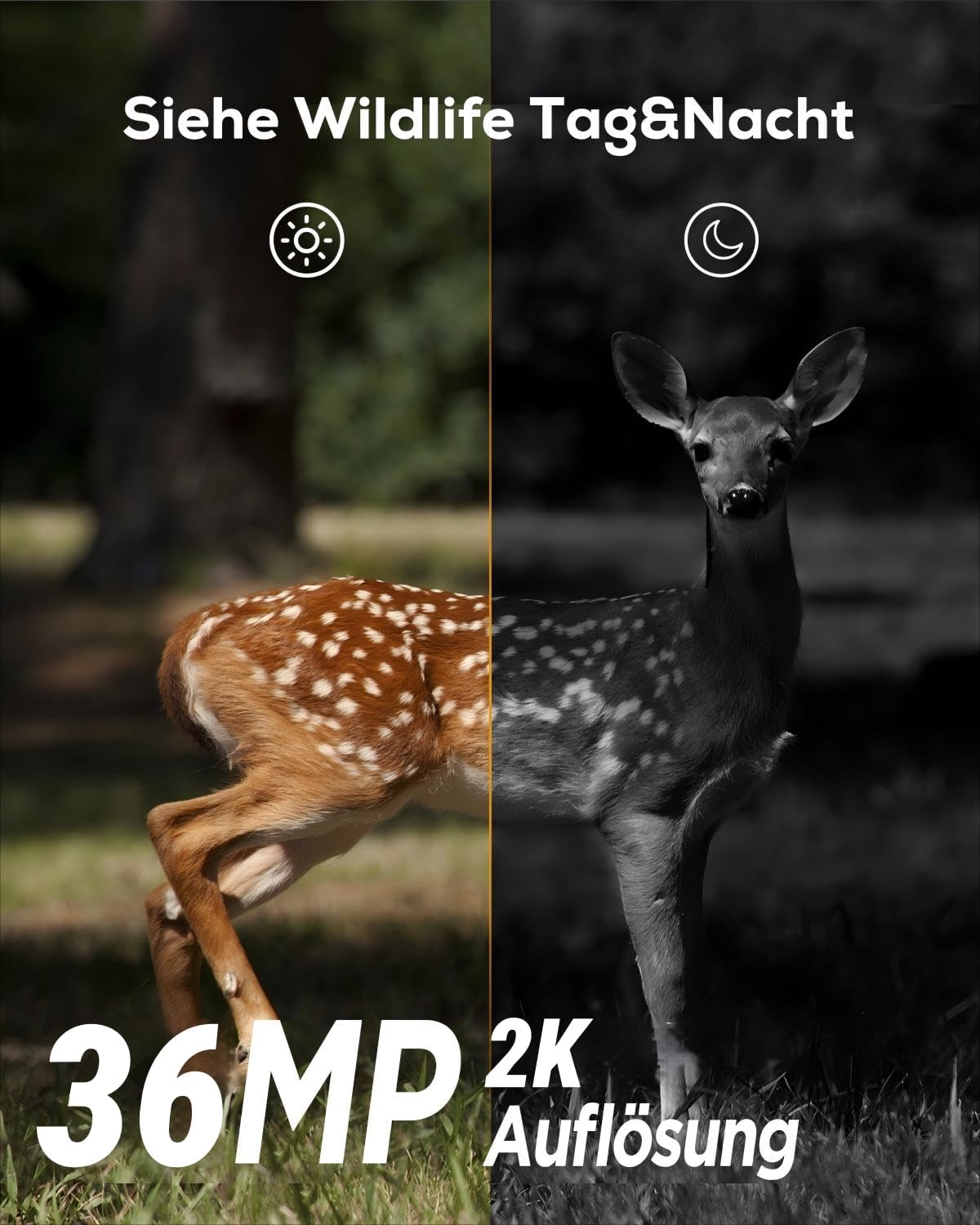 iG200 Wildkamera mit Bewegungsmelder und Nachtsicht, Camouflage
