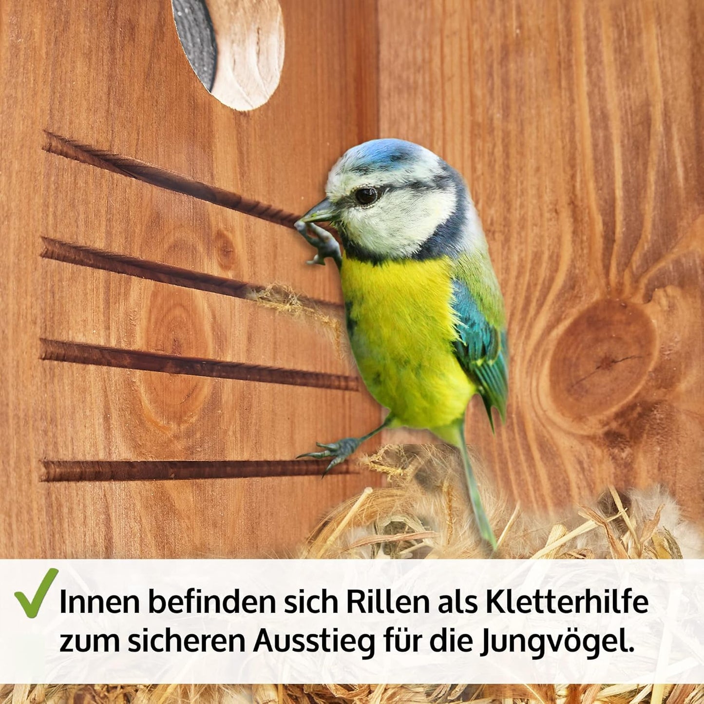 Nistkasten für Wildvögel aus Massivholz, Nistkasten Braun