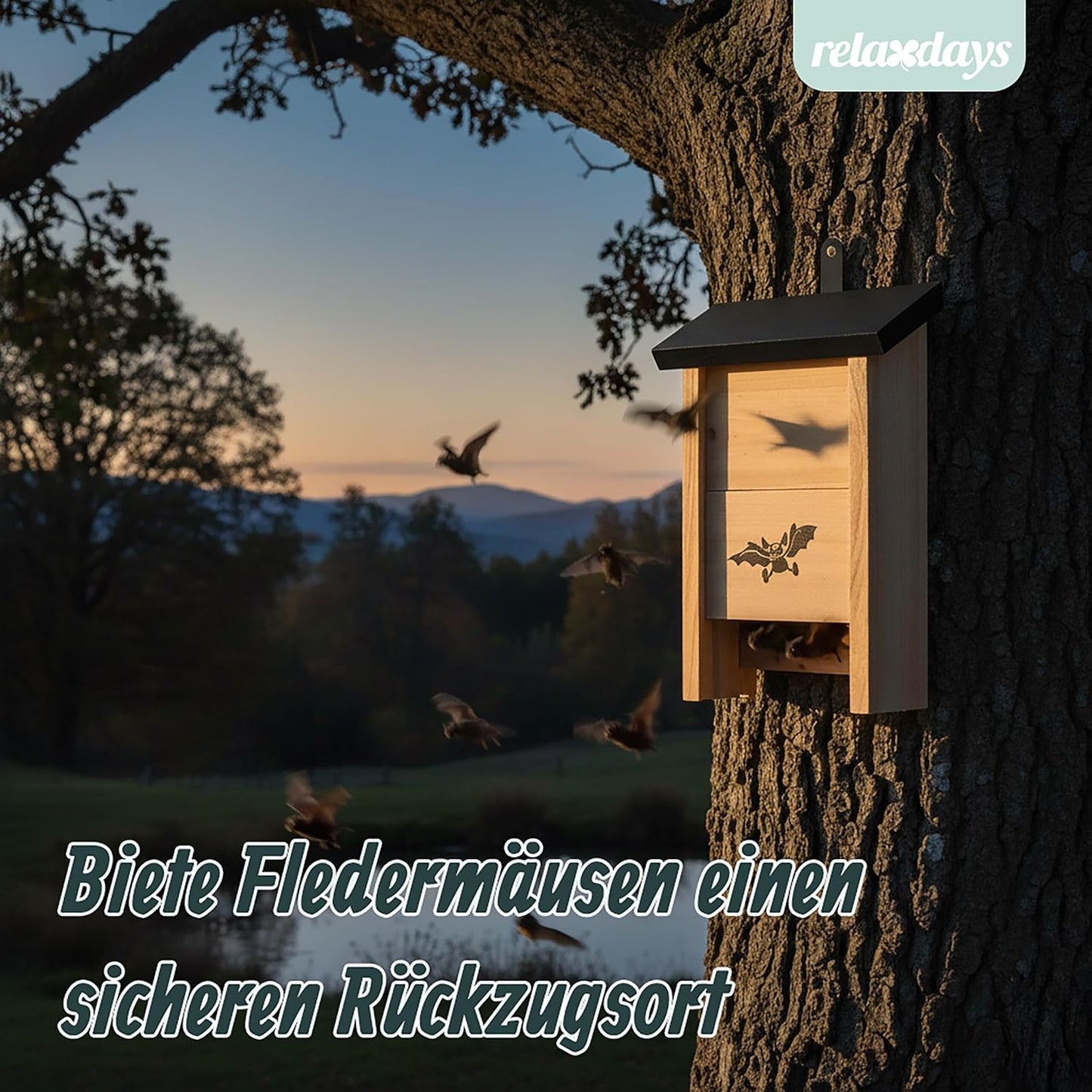 Fledermauskasten, Schwarz