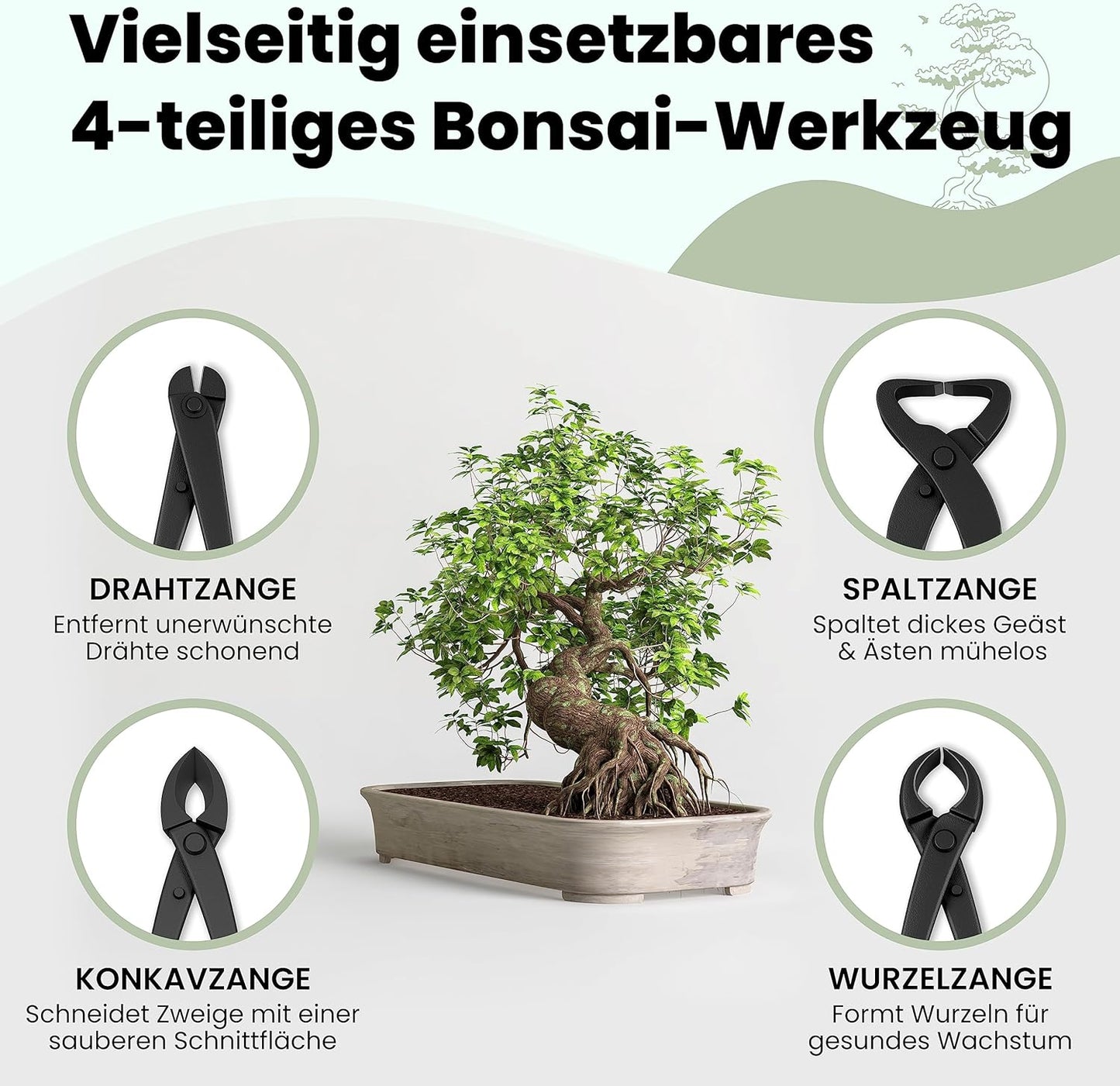 4-teiliges Bonsai Werkzeug-Set, Werkzeug Set