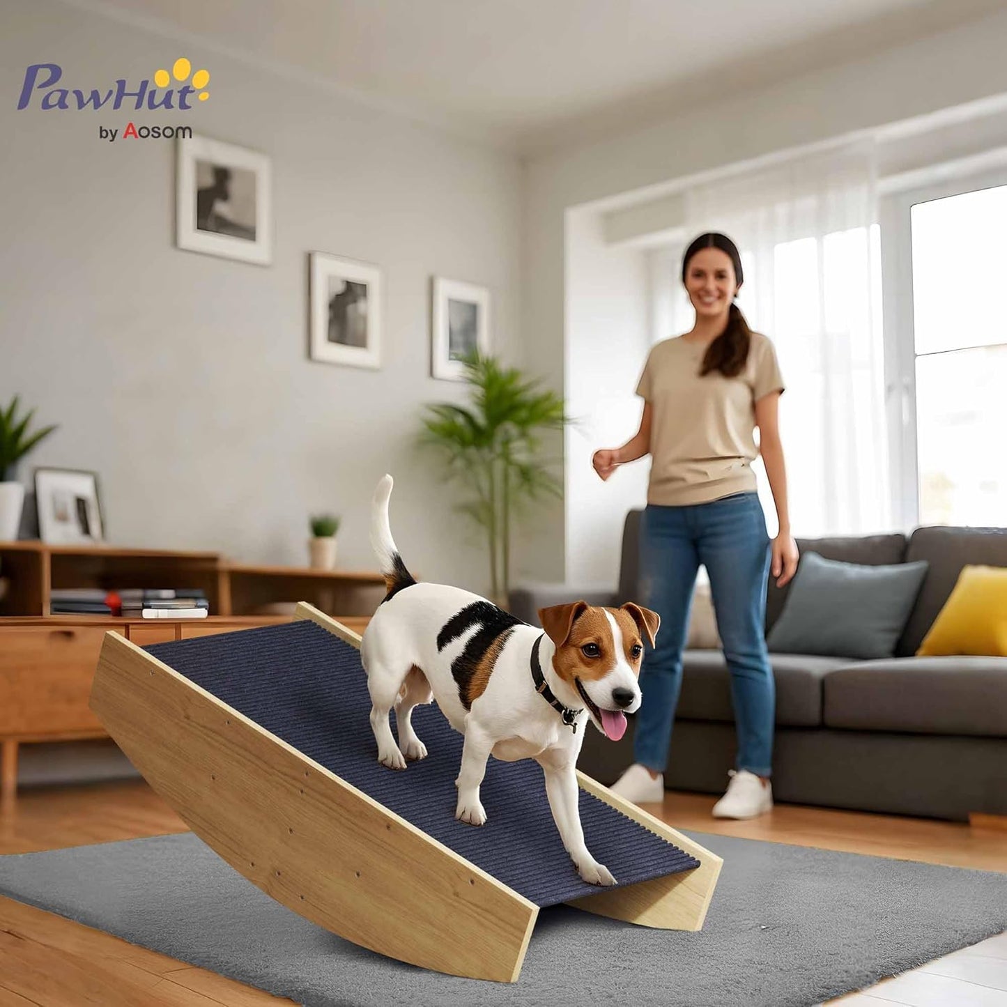 2-in-1 Hundewippe für Agility-Training