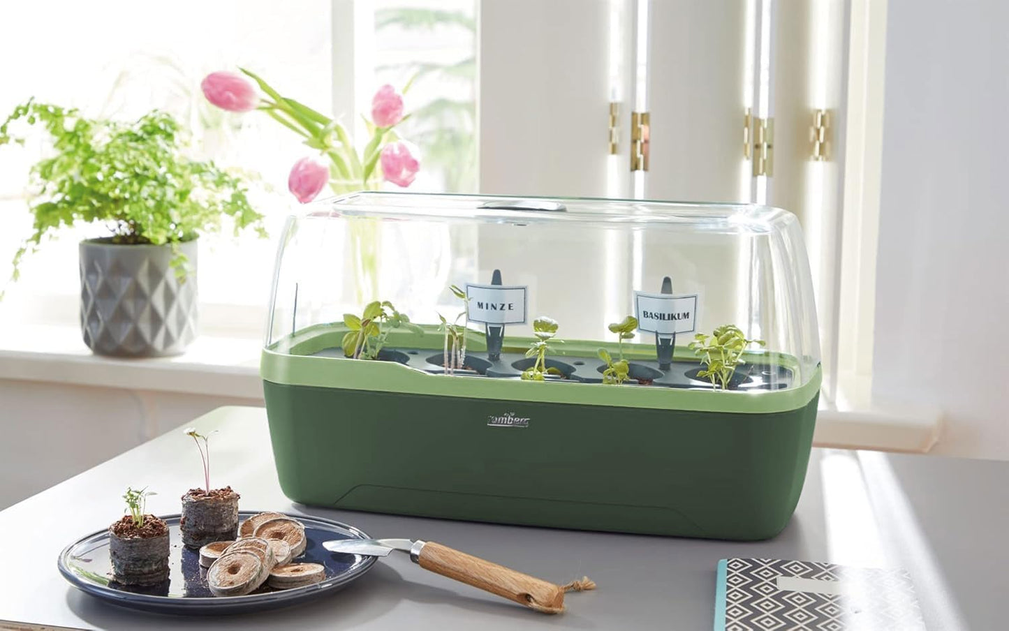 BoQube L Plus Mini-Gewächshaus Anzuchtset mit Bewässerungssystem, BoQube L Plus — 41×17×23cm Green Edition