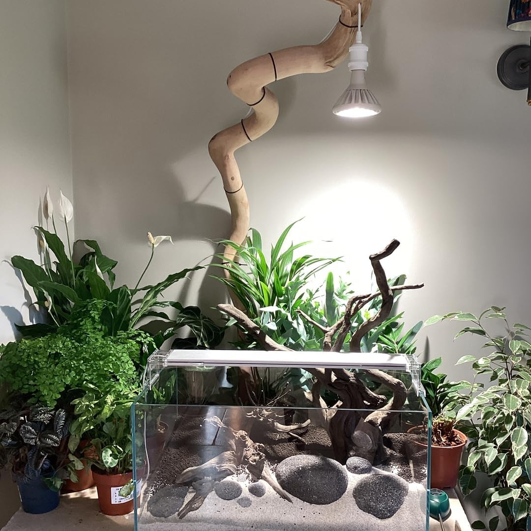 LED-Pflanzenlampe