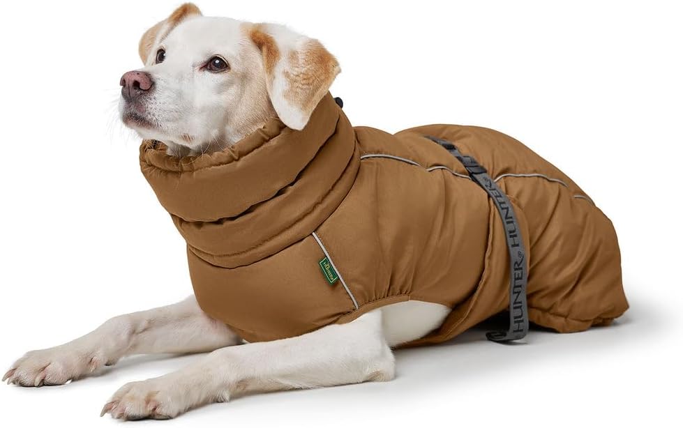 Hundemantel Paxson, 25 karamell