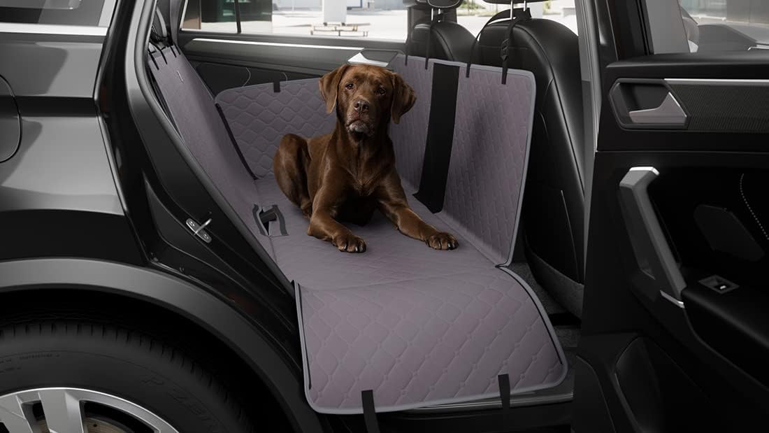 Hunde Autoschondecke