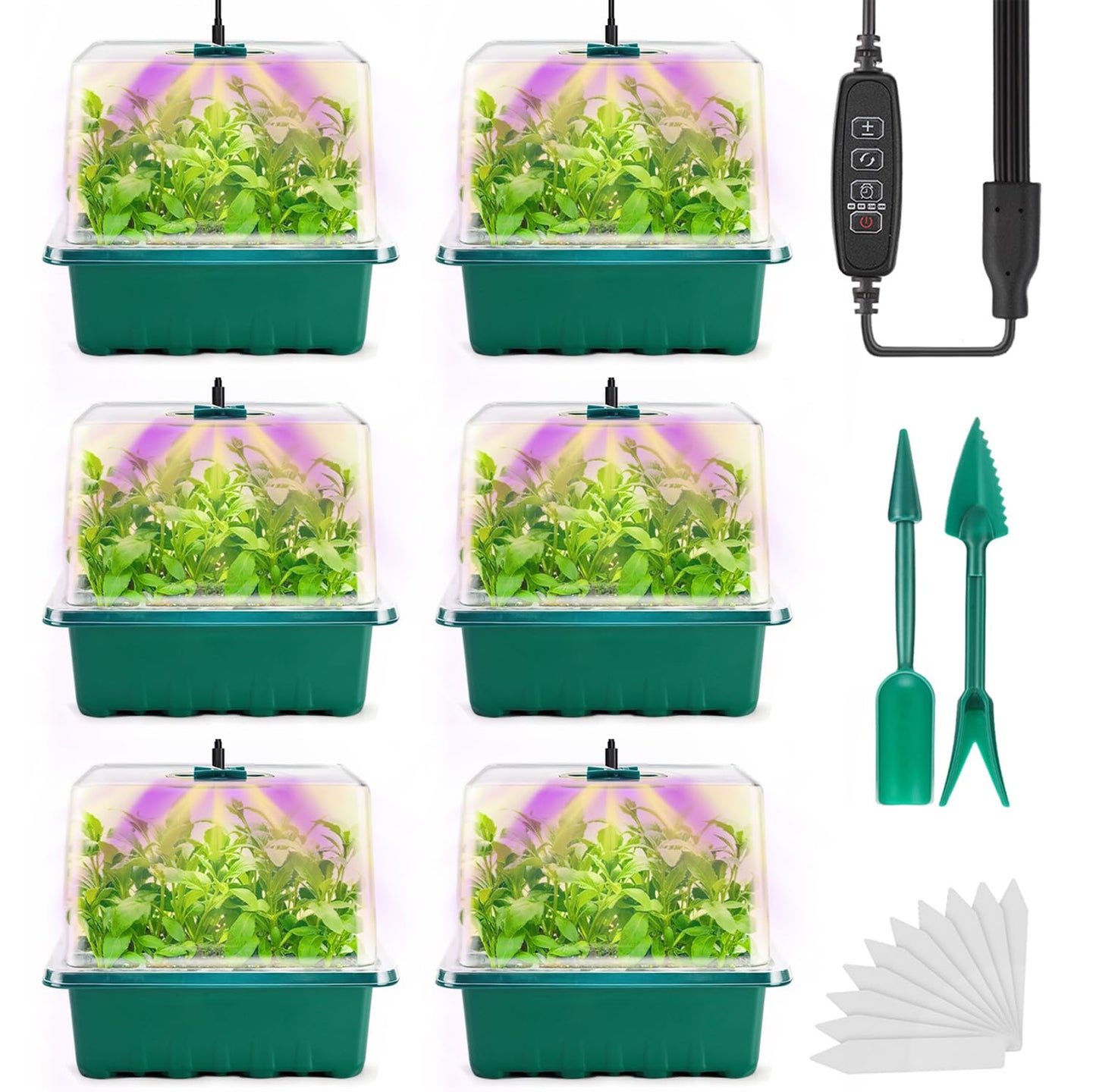 6 x Anzuchtschalen mit LED-Wachstumslicht und Timer, Grün-6pcs