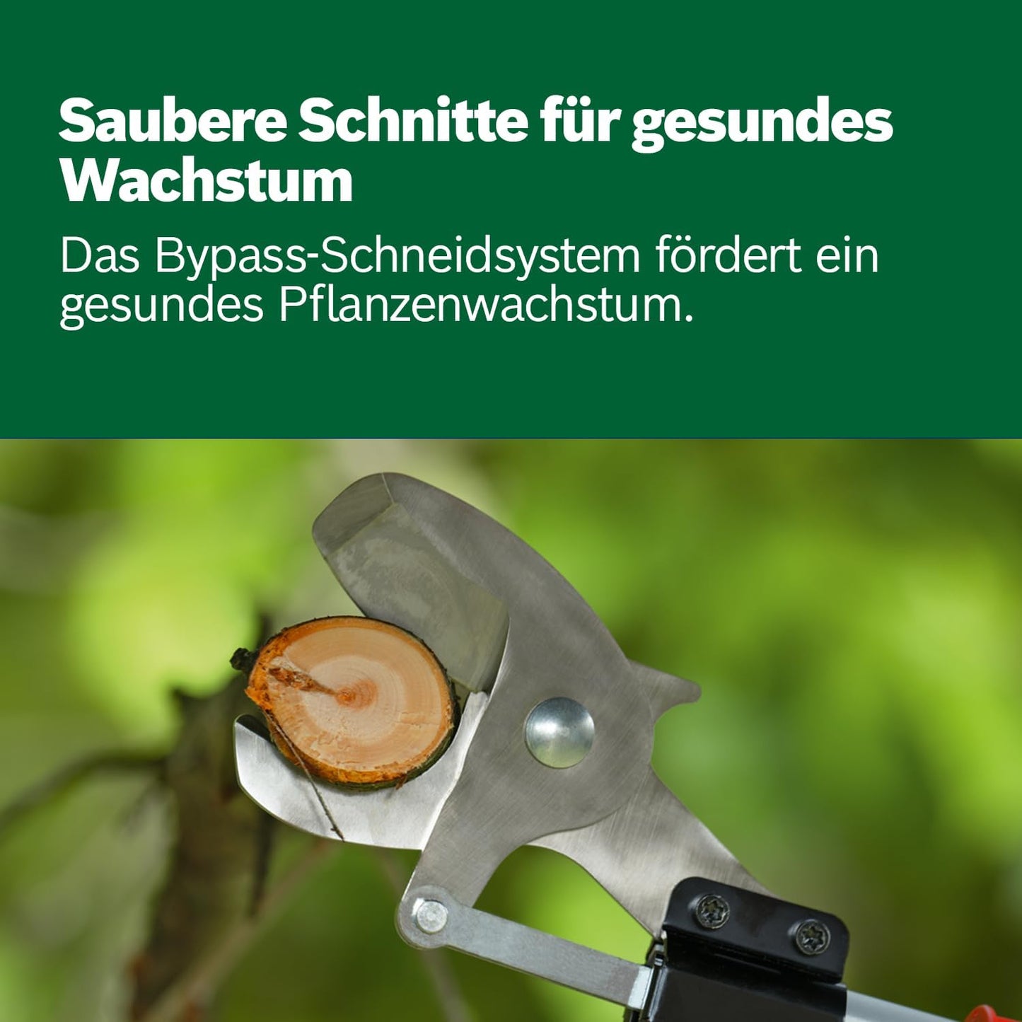 Akku-Gartenschere AdvancedPrune 18V-45 (mit Stange)