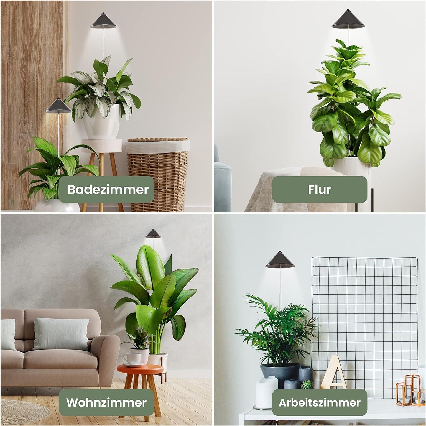 SUNLiTE, Grau