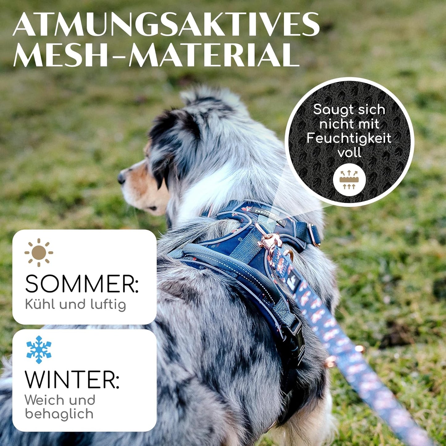 Atmungsaktives Hundegeschirr - Lets get Foxy, XL