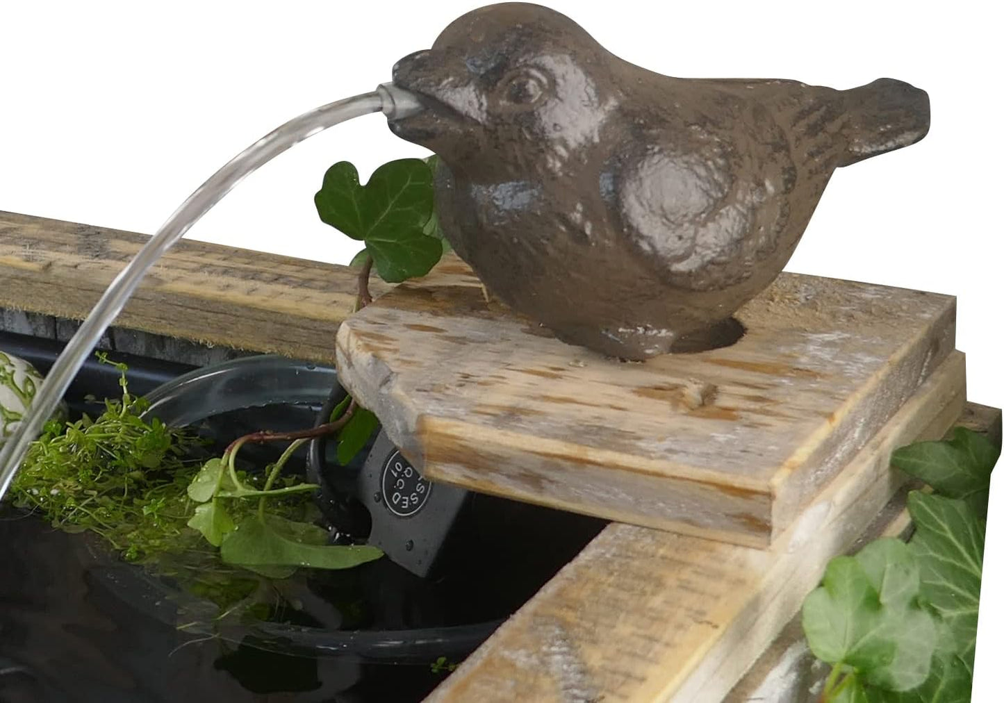 Wasserspeier Spatz mit Pumpe für Miniteich Deko