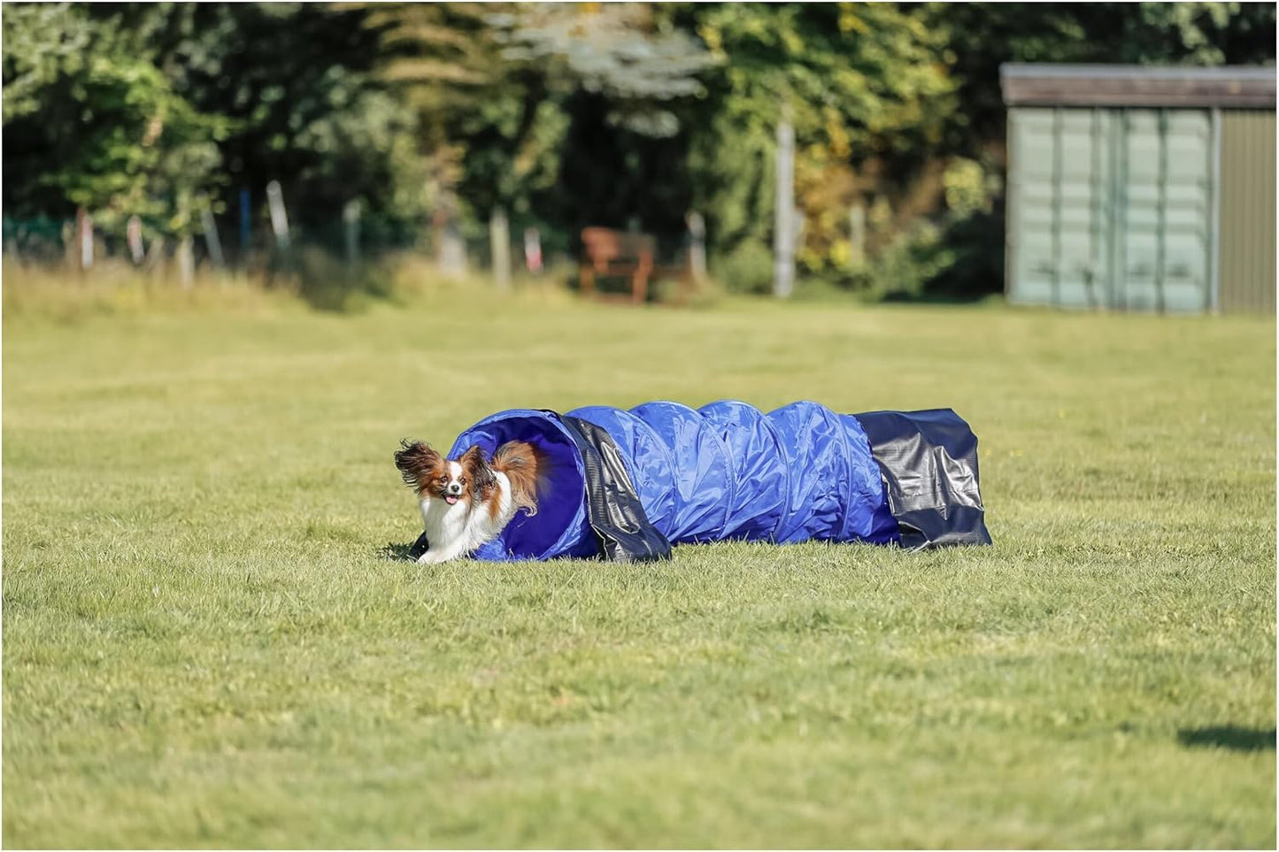 Hundetunnel für Agility Training, Blau ø 40 cm/2 m