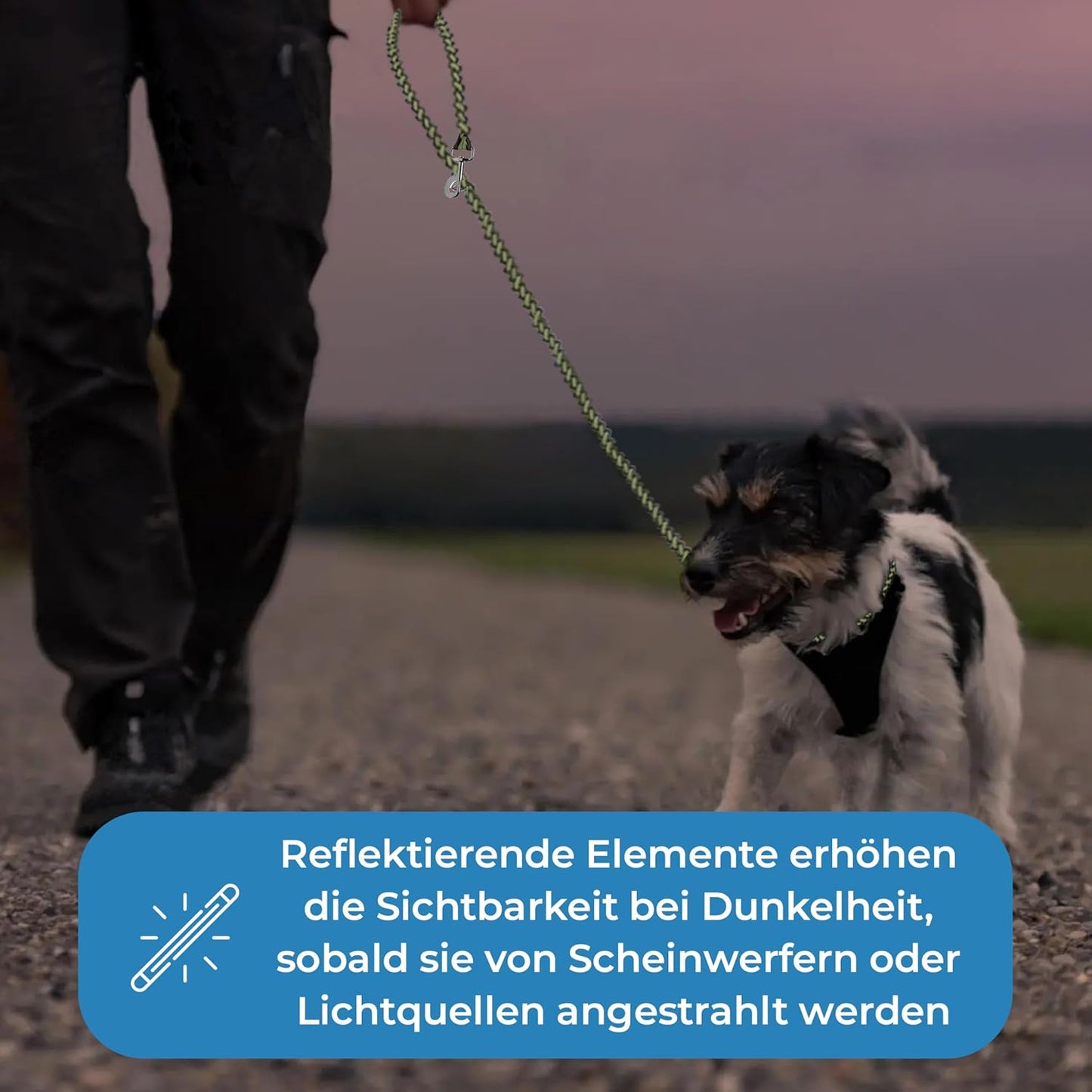 Hundeleine reflektierend, 2m, verstellbar & reissfest, olivgrün 2 m Hunde bis 15 kg