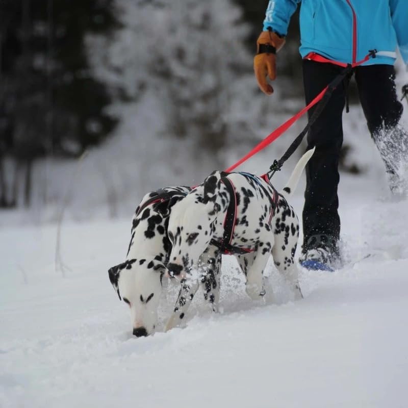 Hundegeschirr Polar Quest X-Back, L Rosa / Schwarz