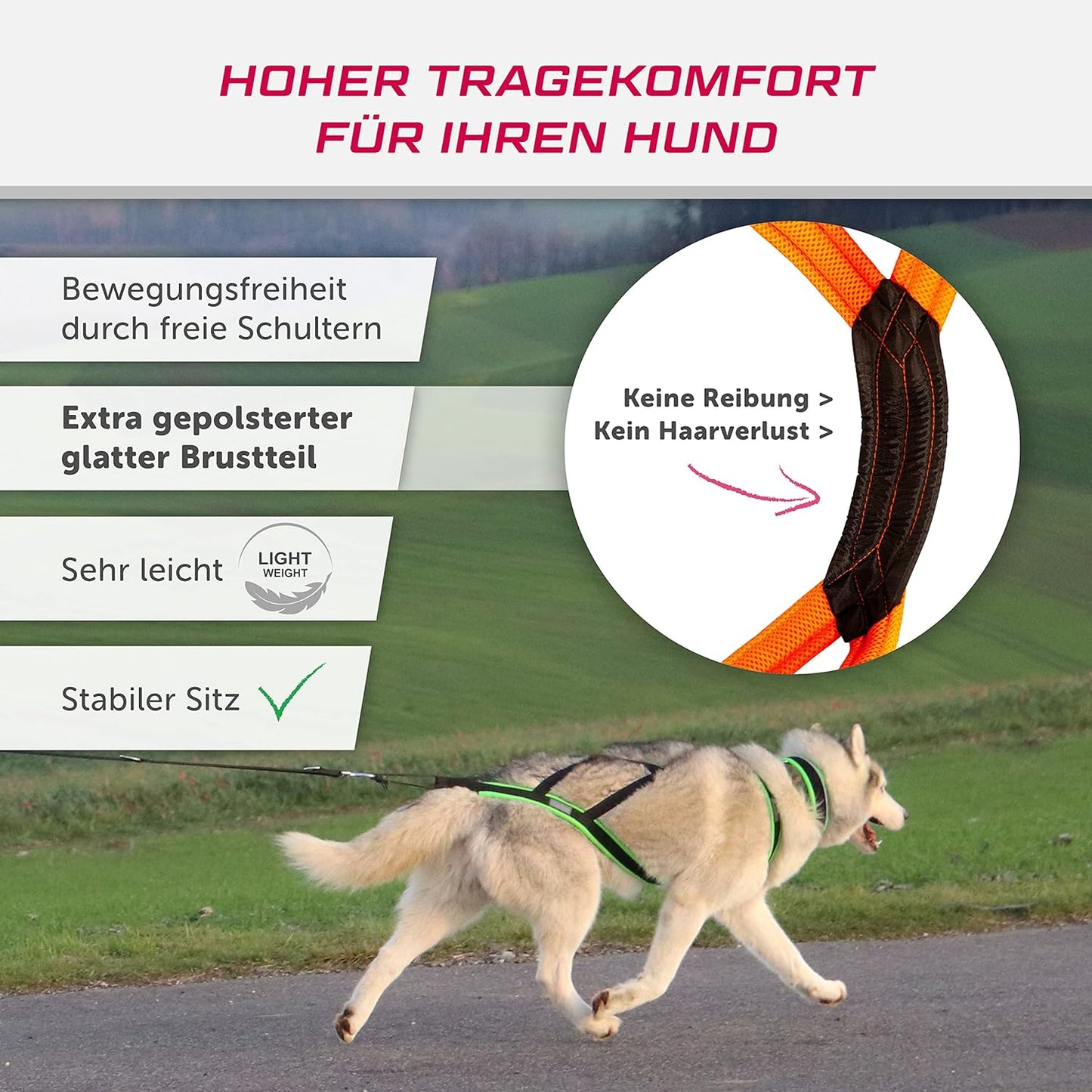 Zuggeschirr, M