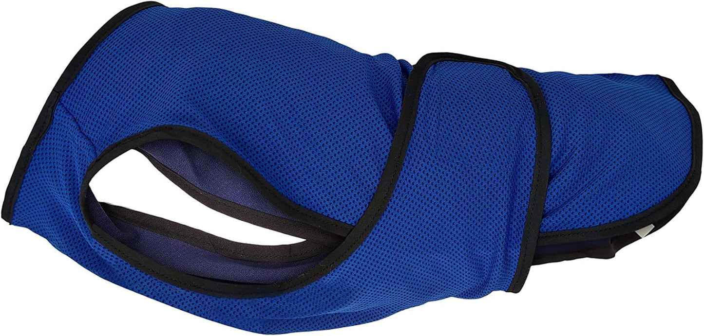 Hundekühlweste, M Blau