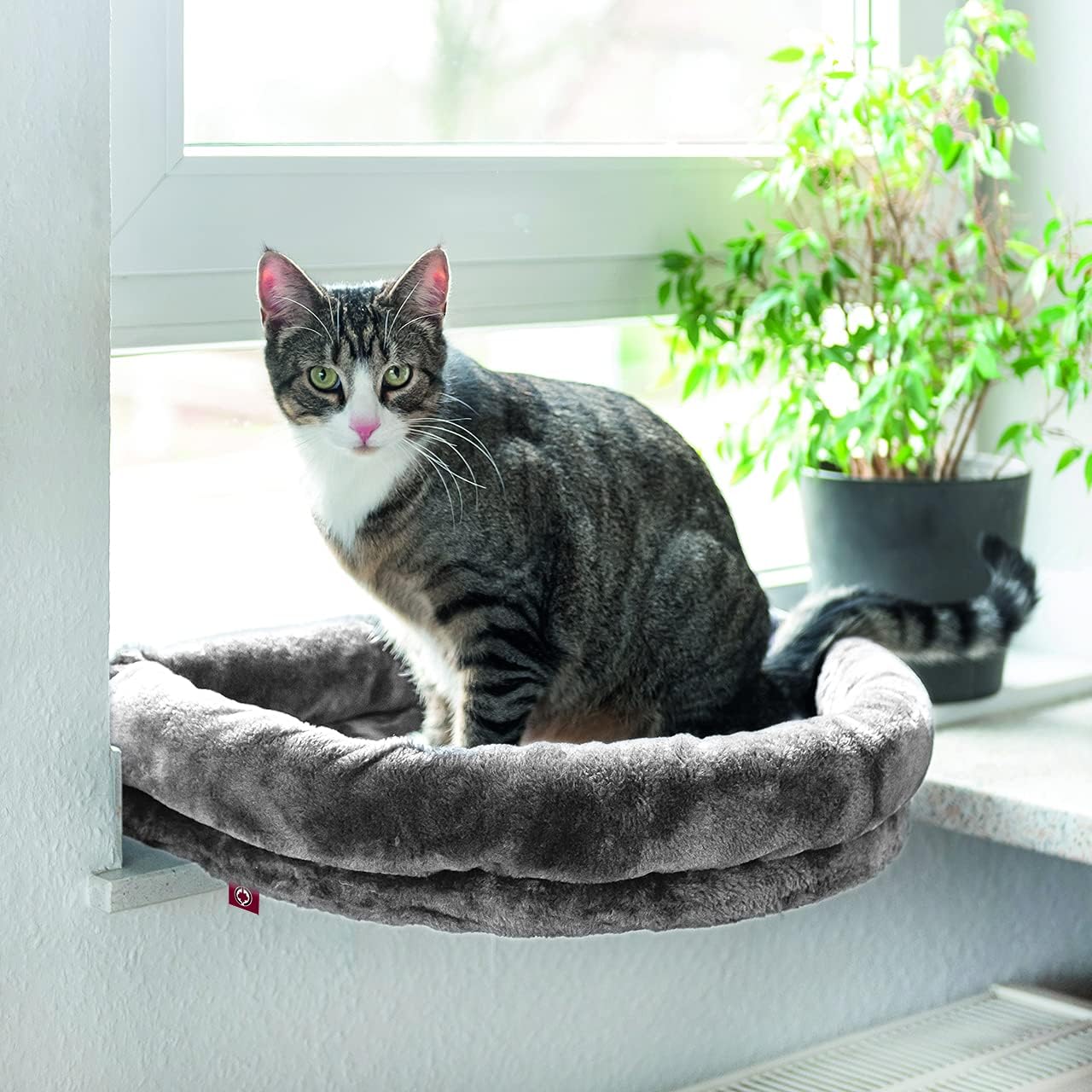 Fensterliege Katzen-Hängebett, Plüsch, hellgrau